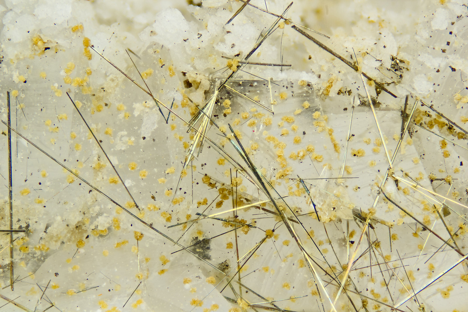 Millerite
FOV = 4.0 mm
(Autor: Doug)