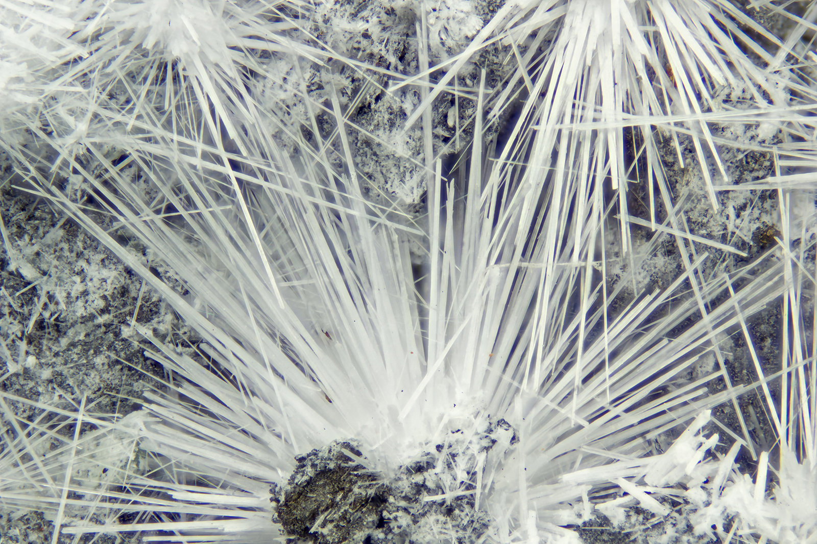 Canavesite
FOV = 4.0 mm
(Autor: Doug)