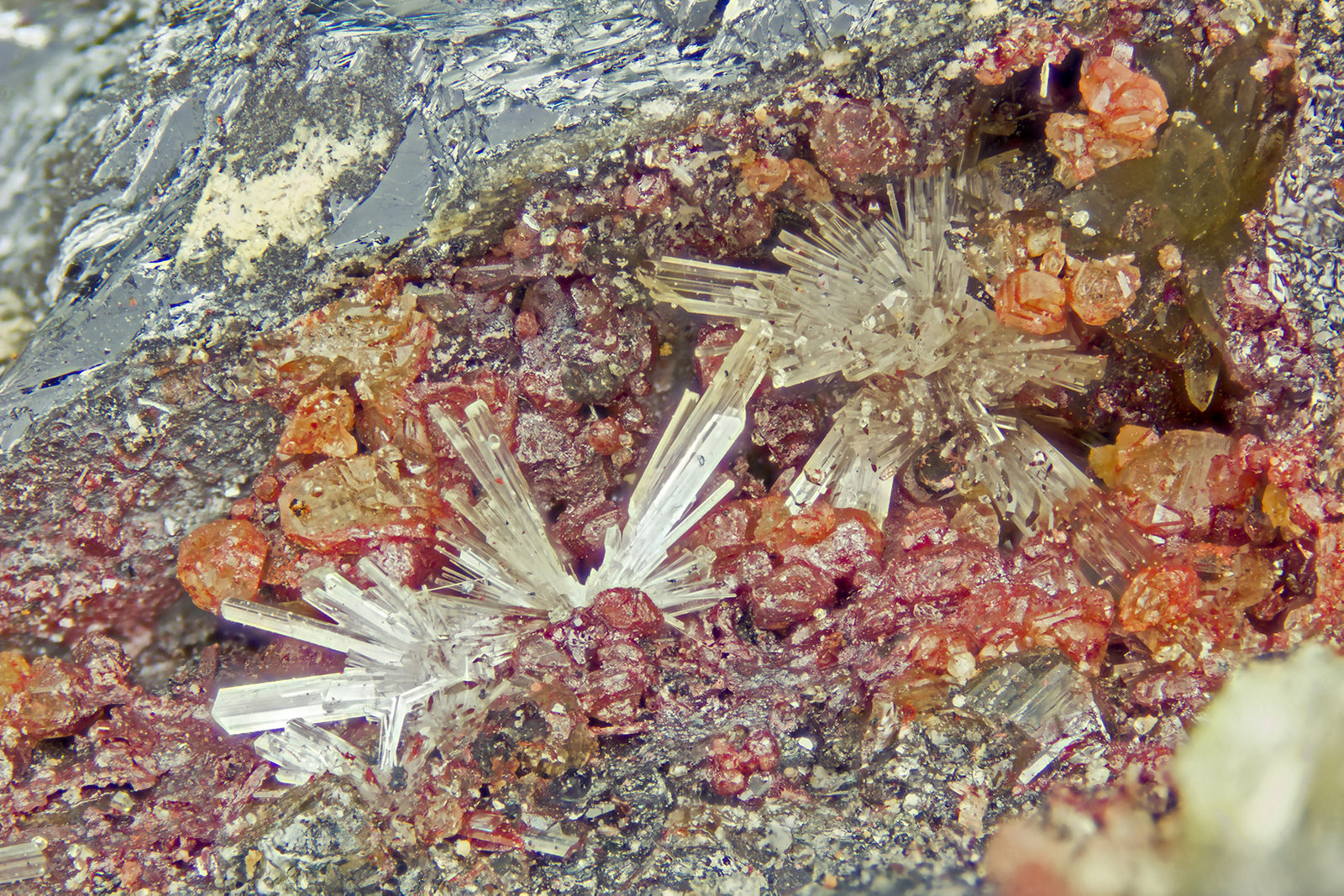 Klebelsbergite
FOV = 4.0 mm
(Autor: Doug)