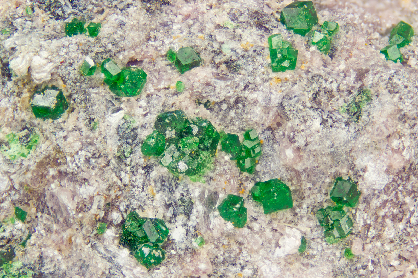 Uvarovite
FOV = 4.0 mm
(Autor: Doug)