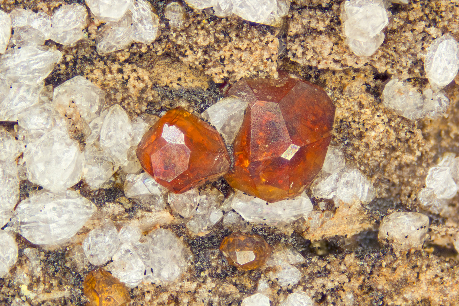 Spessartine
FOV = 4.0 mm
(Autor: Doug)