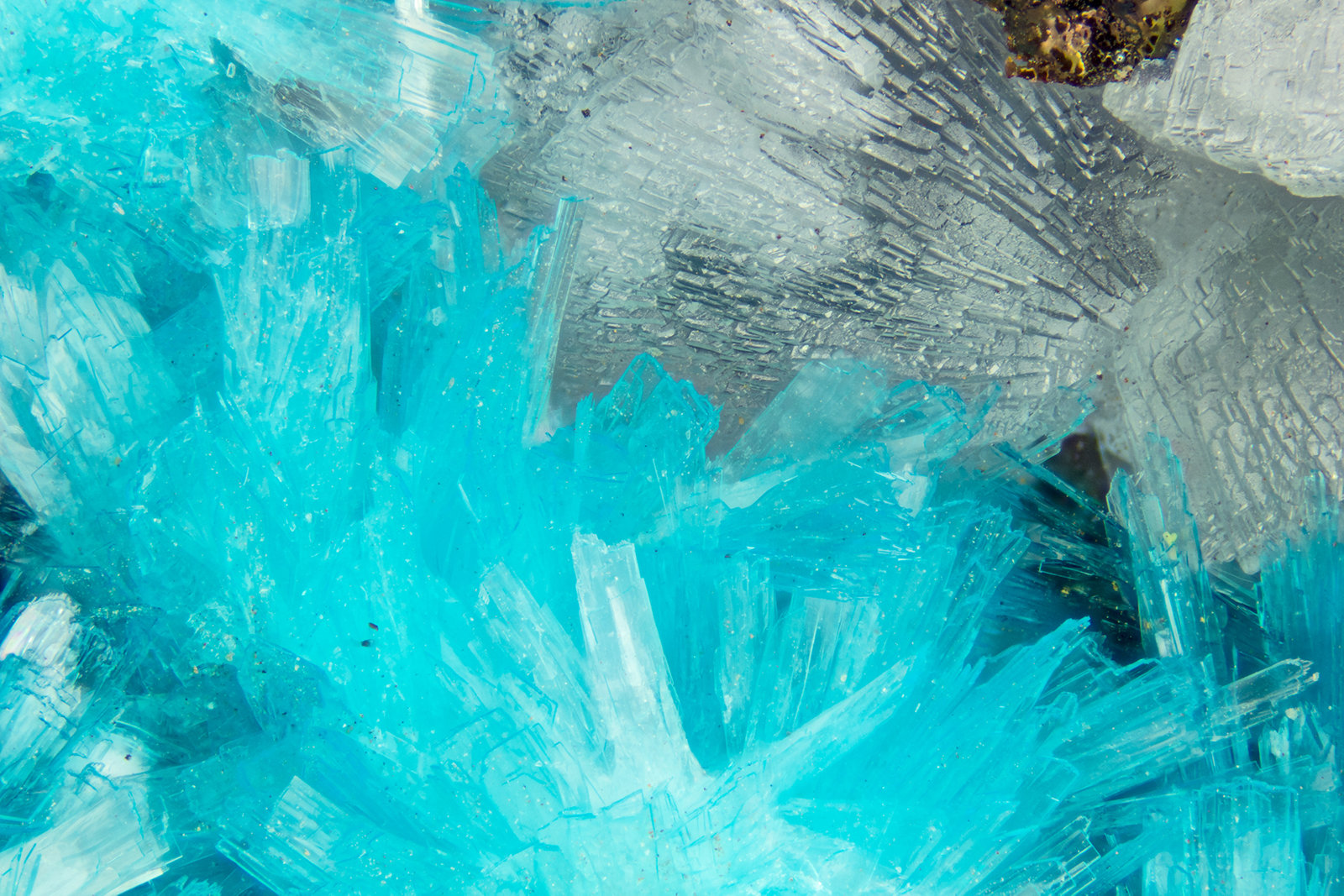 Aurichalcite
FOV = 4.0 mm
(Autor: Doug)