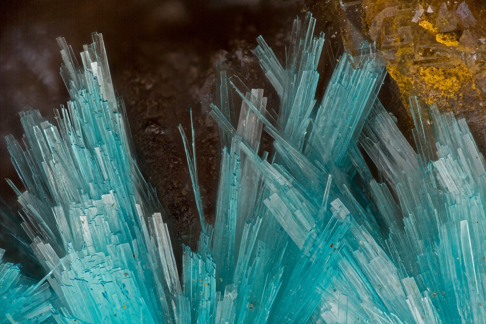Aurichalcite
FOV = 3.8 mm
(Autor: Doug)