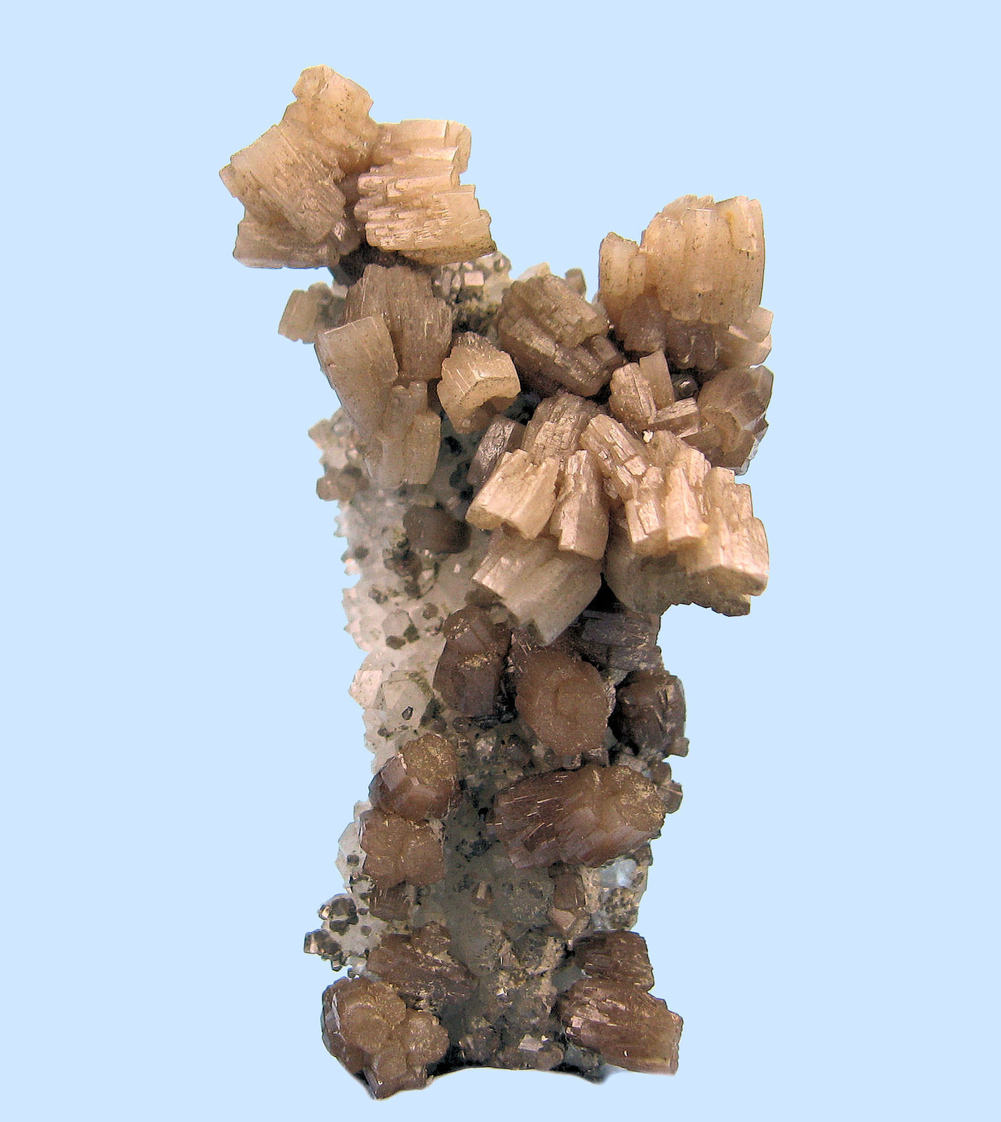 Pyromorphite, quartz
49 mm x 30 mm, largest crystal: ~8 mm, mass: 24 g
(Autor: Carles Millan)
