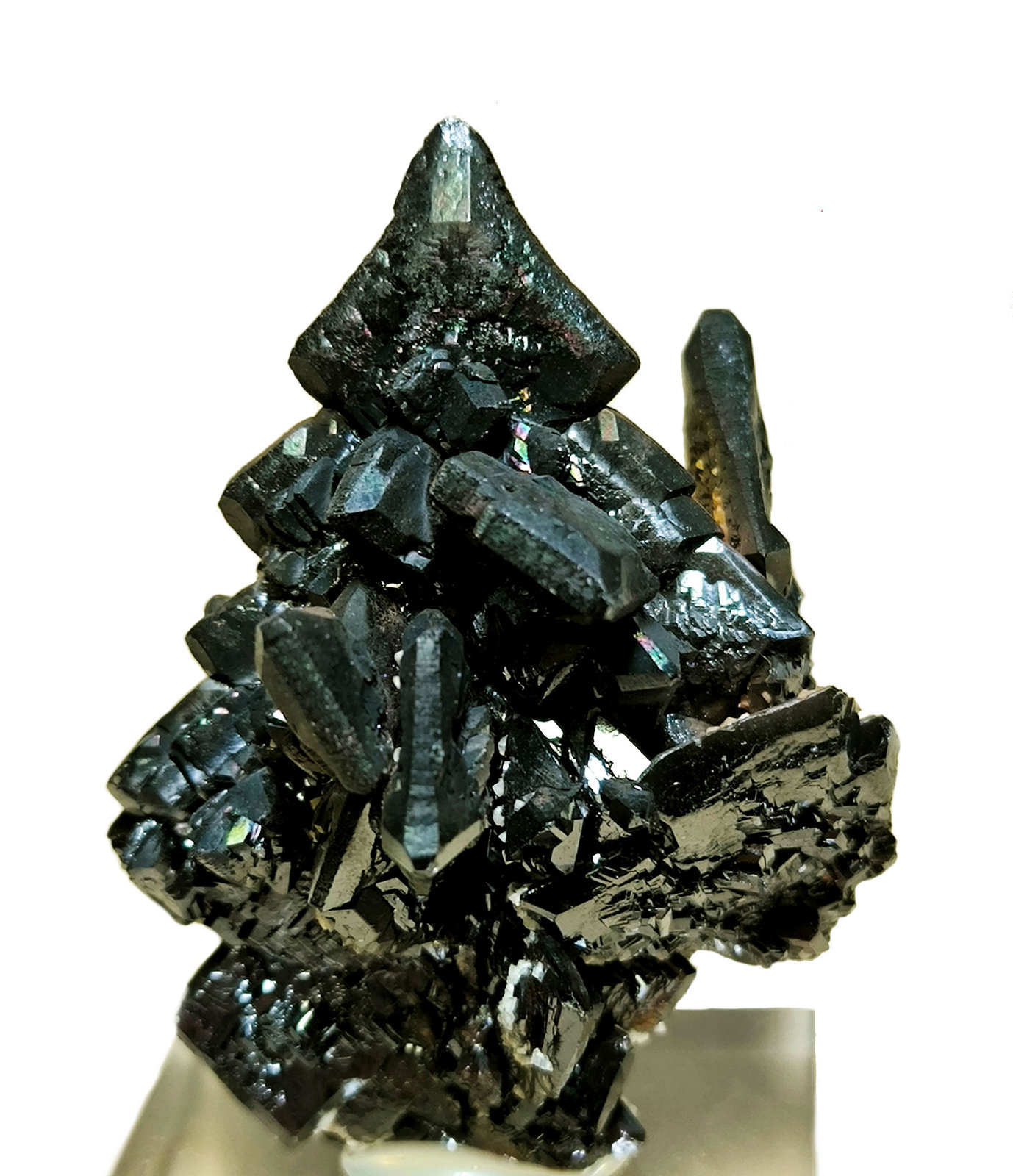 Descloizite
60 mm × 45 mm. Largest crystal: 18 mm on edge. Mass: 83 g.
(Autor: Carles Millan)