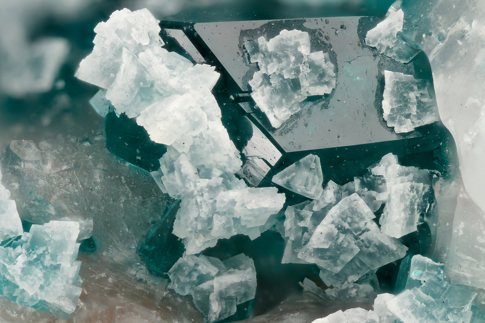 Minrecordite, Dioptase
FOV = 3.9 mm
(Autor: Doug)