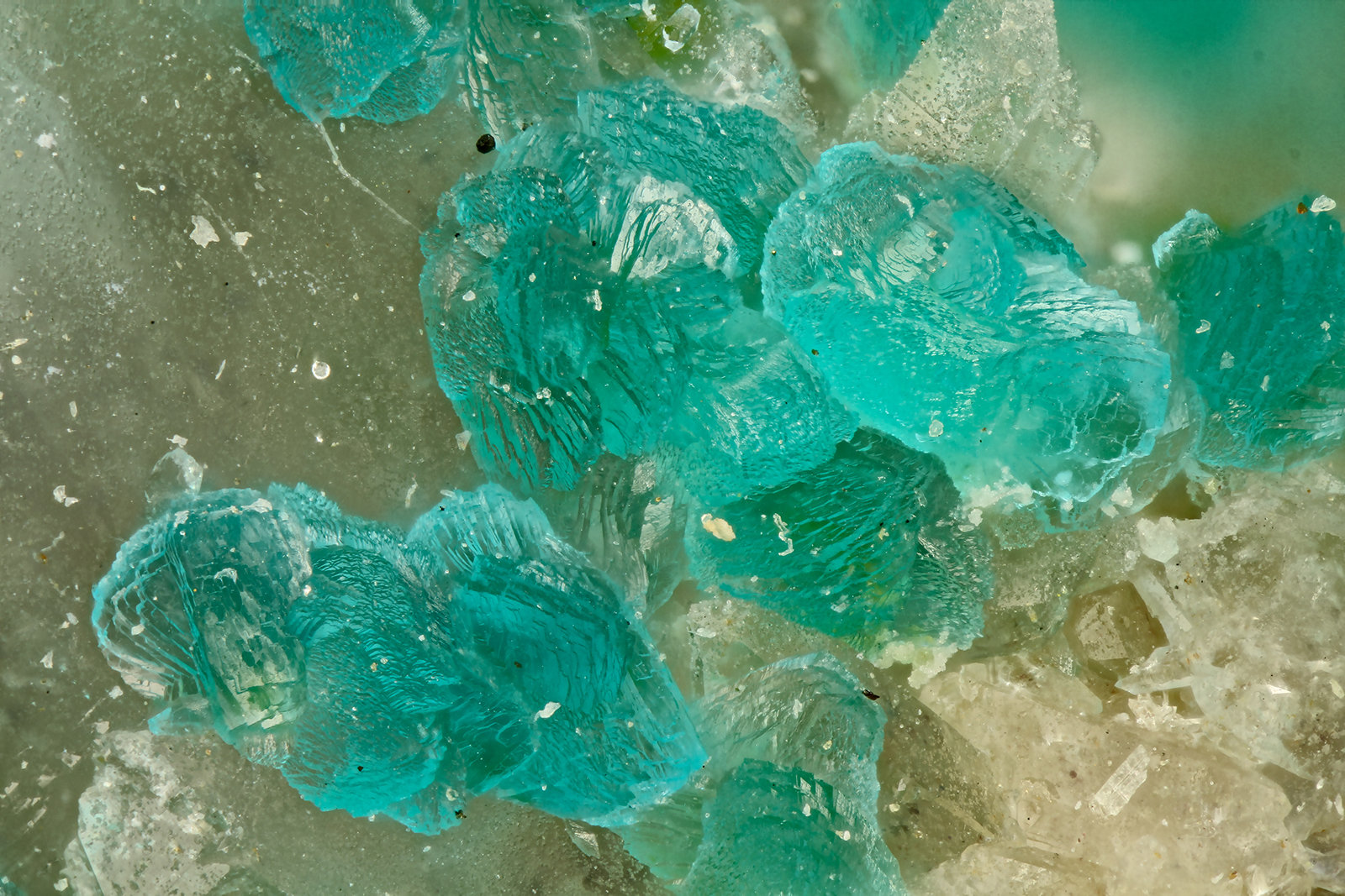 Turquoise
FOV = 2.0 mm
(Autor: Doug)
