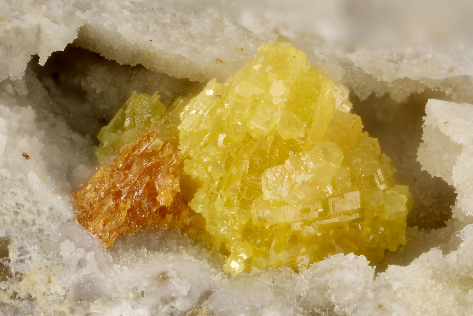 Terlinguacreekite, Kleinite
FOV = 2.4 mm
(Autor: Doug)