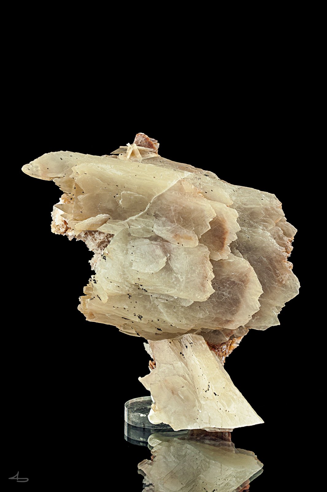 Baryte
12,5 x 8 x 6 cm
(Autor: Niels Brouwer)