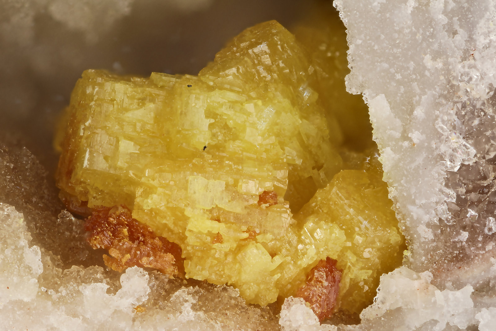 Terlinguacreekite, Kleinite
FOV = 3.4 mm
(Autor: Doug)