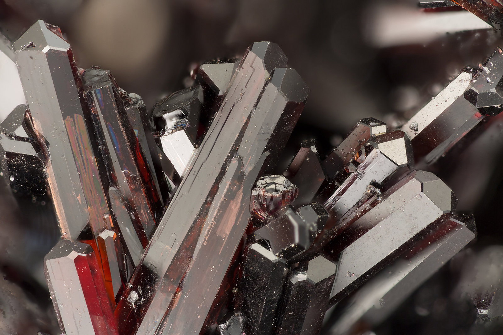 Manganvesuvianite
FOV = 3.9 mm
(Autor: Doug)