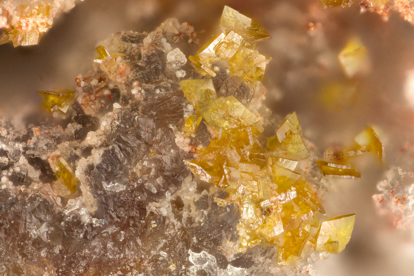 Descloizite
FOV = 1.6 mm
(Autor: Doug)