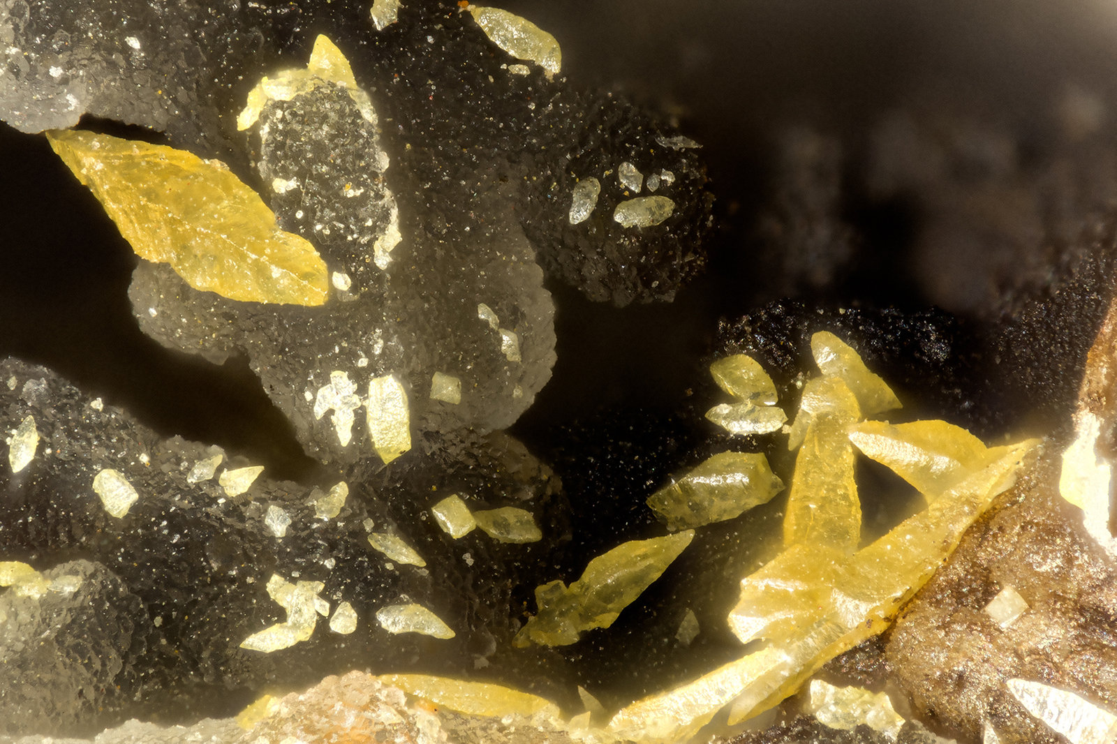 Wulfenite
FOV = 1.2 mm
(Autor: Doug)