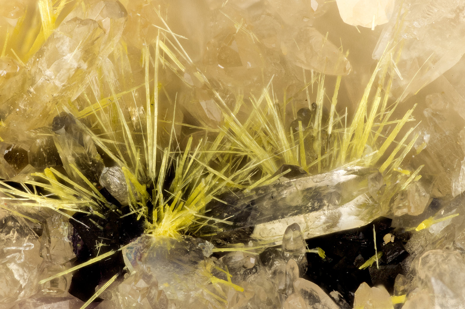 Boltwoodite
FOV = 2.9 mm
(Autor: Doug)