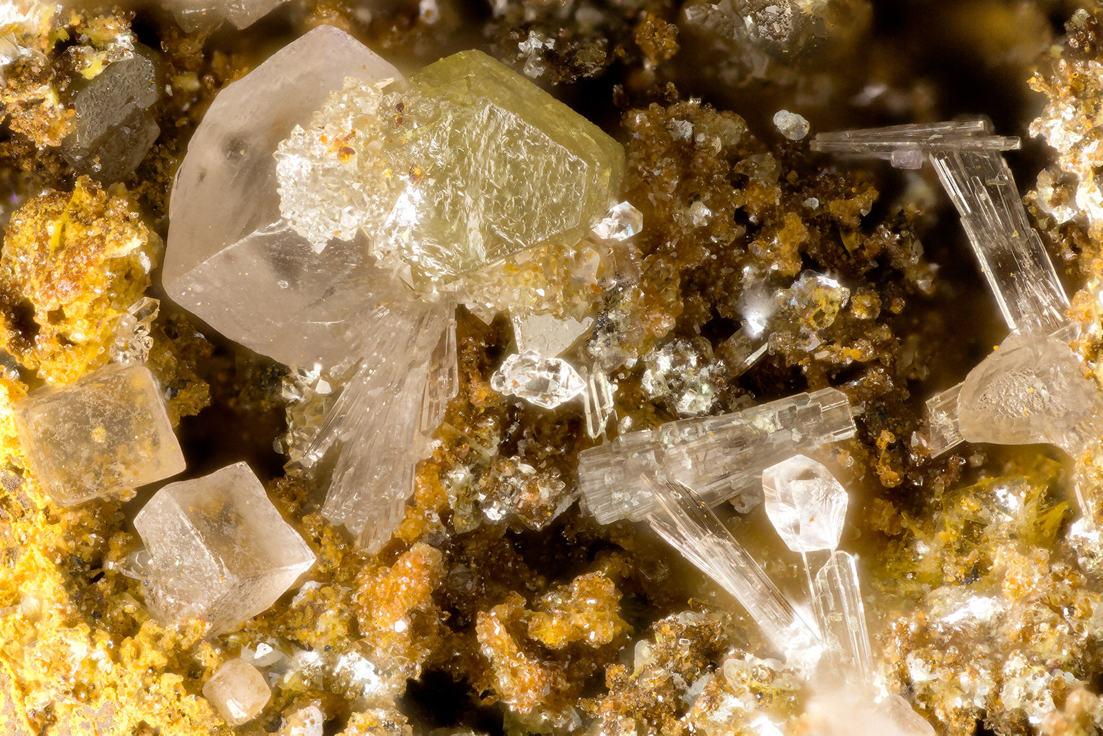 Chlorargyrite
FOV = 3.2 mm
(Autor: Doug)