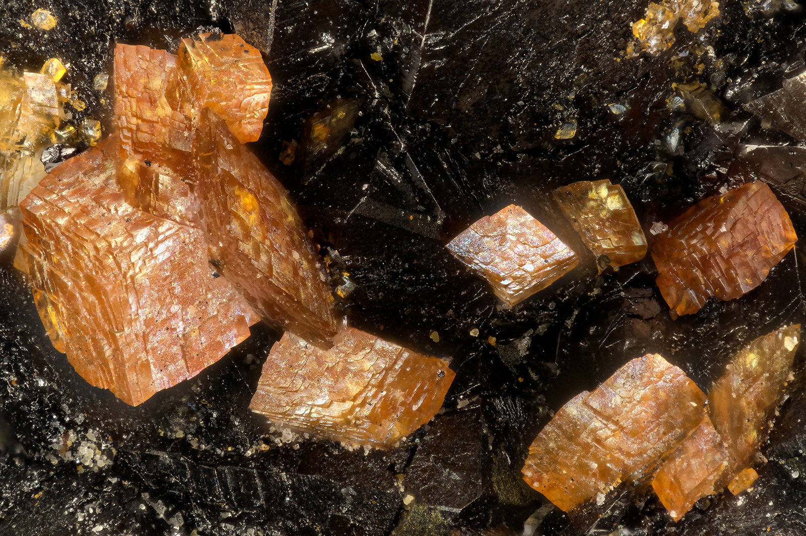 Siderite
FOV = 1.6 mm
(Autor: Doug)