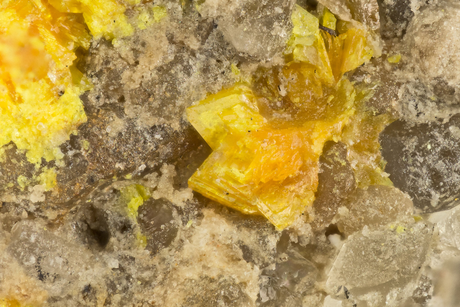Francevillite
FOV = 1.1 mm
(Autor: Doug)