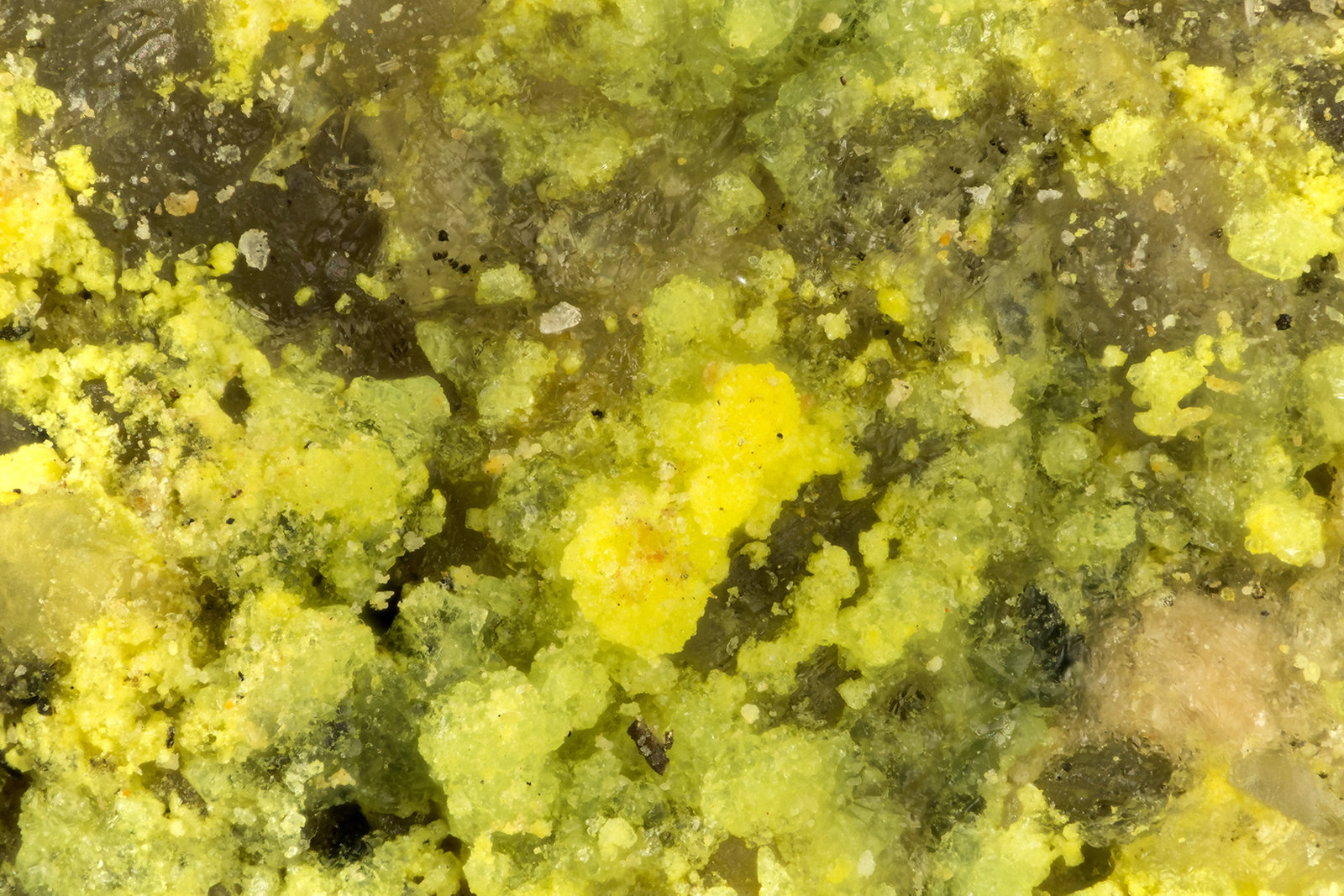 Andersonite, Natrozippeite
FOV = 1.7 mm
(Autor: Doug)