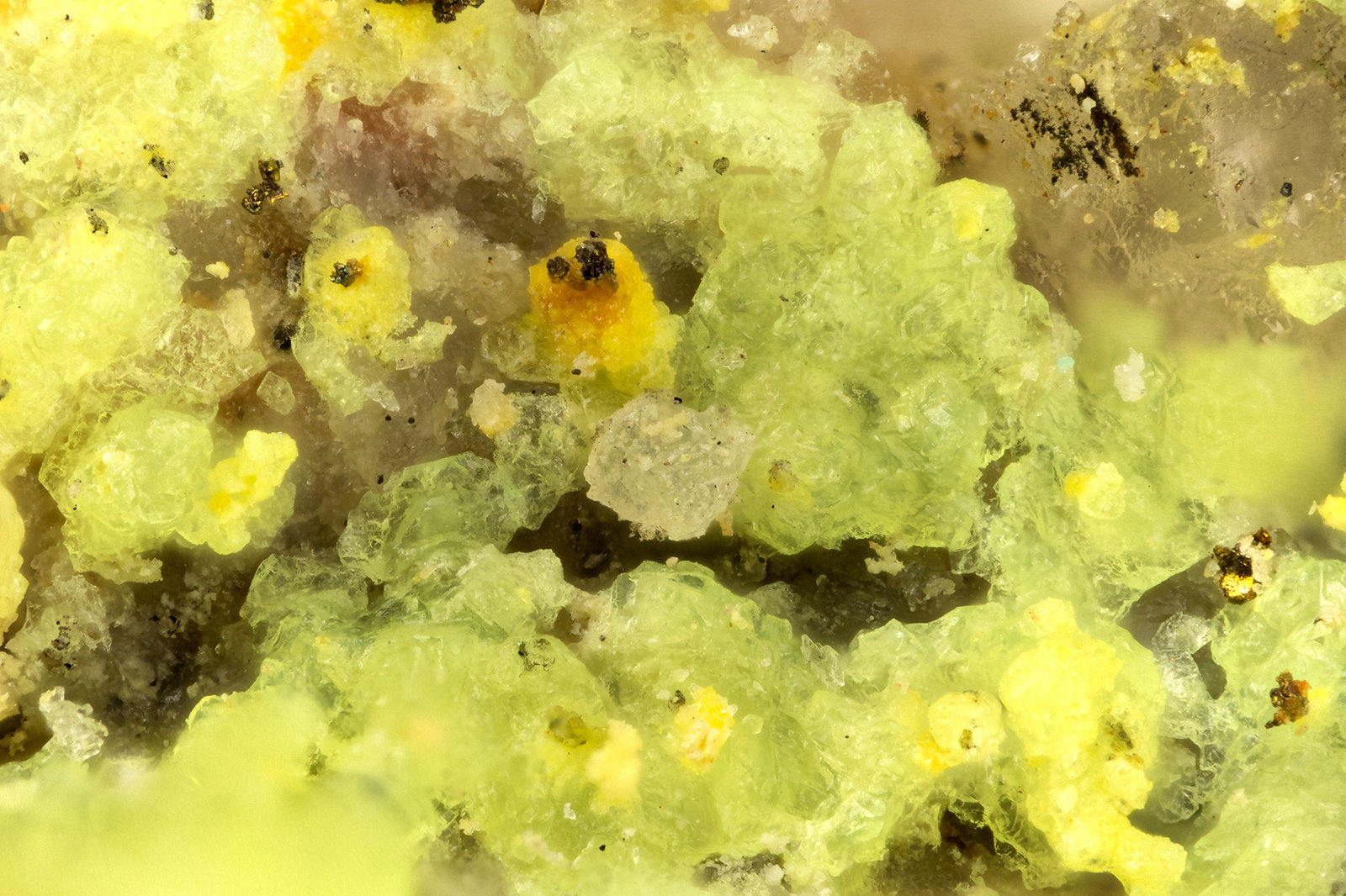 Andersonite, natrozippeite
FOV = 1.7 mm
(Autor: Doug)