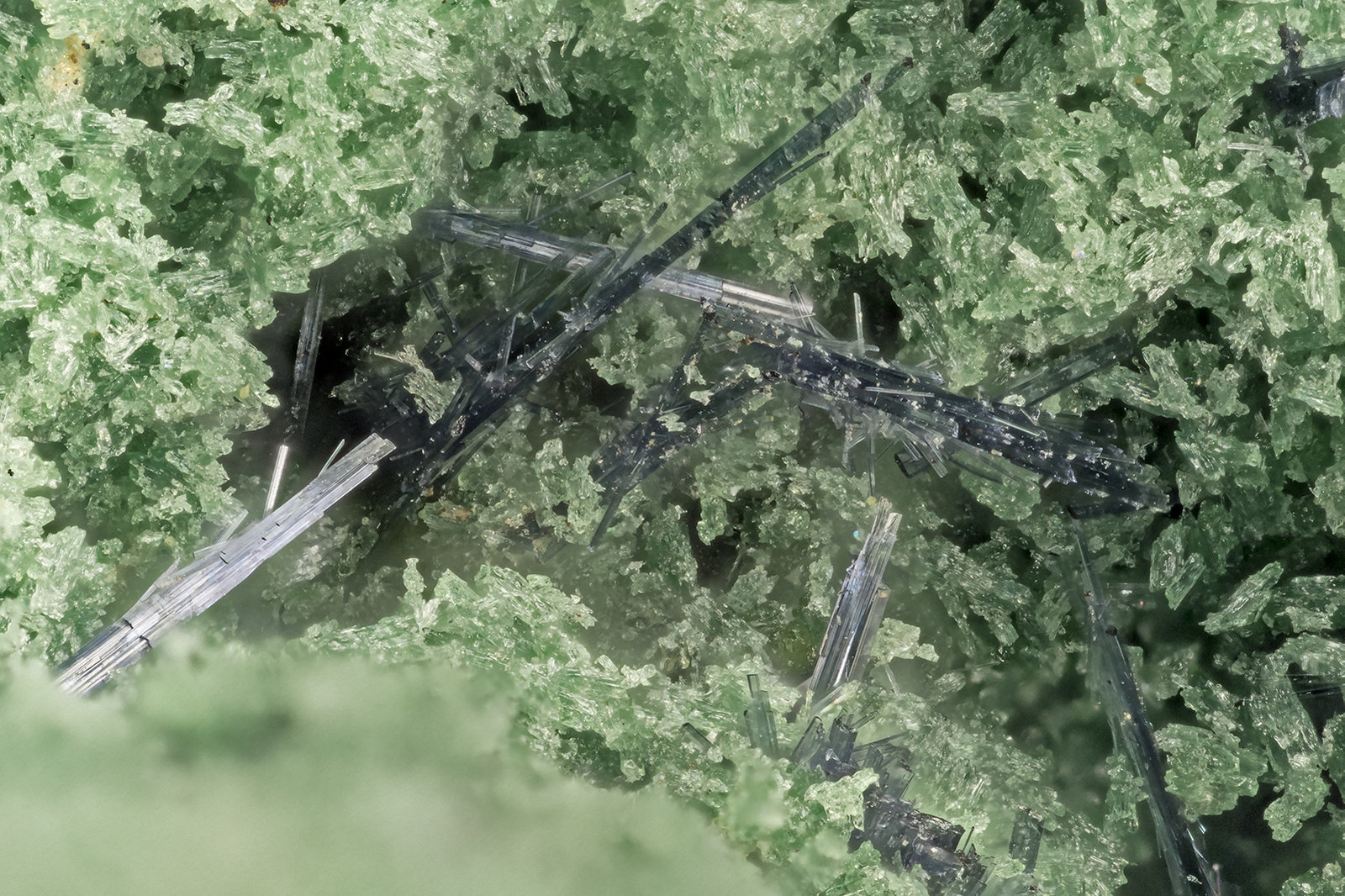 Glaucophane
FOV = 3.0 mm
(Autor: Doug)