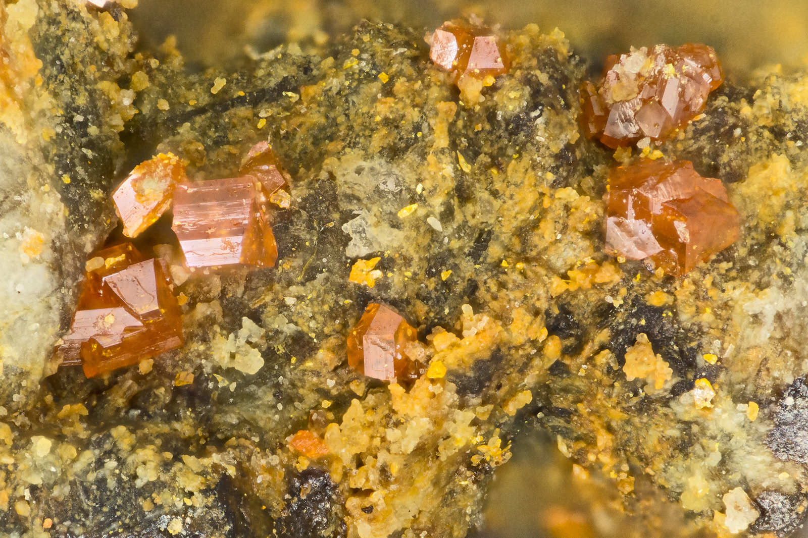 Calderonite
FOV = 1.3 mm
(Autor: Doug)