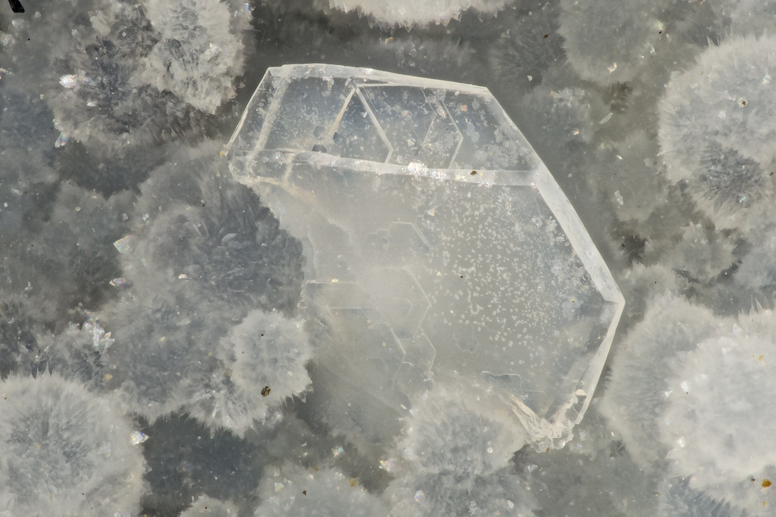 Levyne-Ca, Cowlesite
FOV = 2.7
(Autor: Doug)