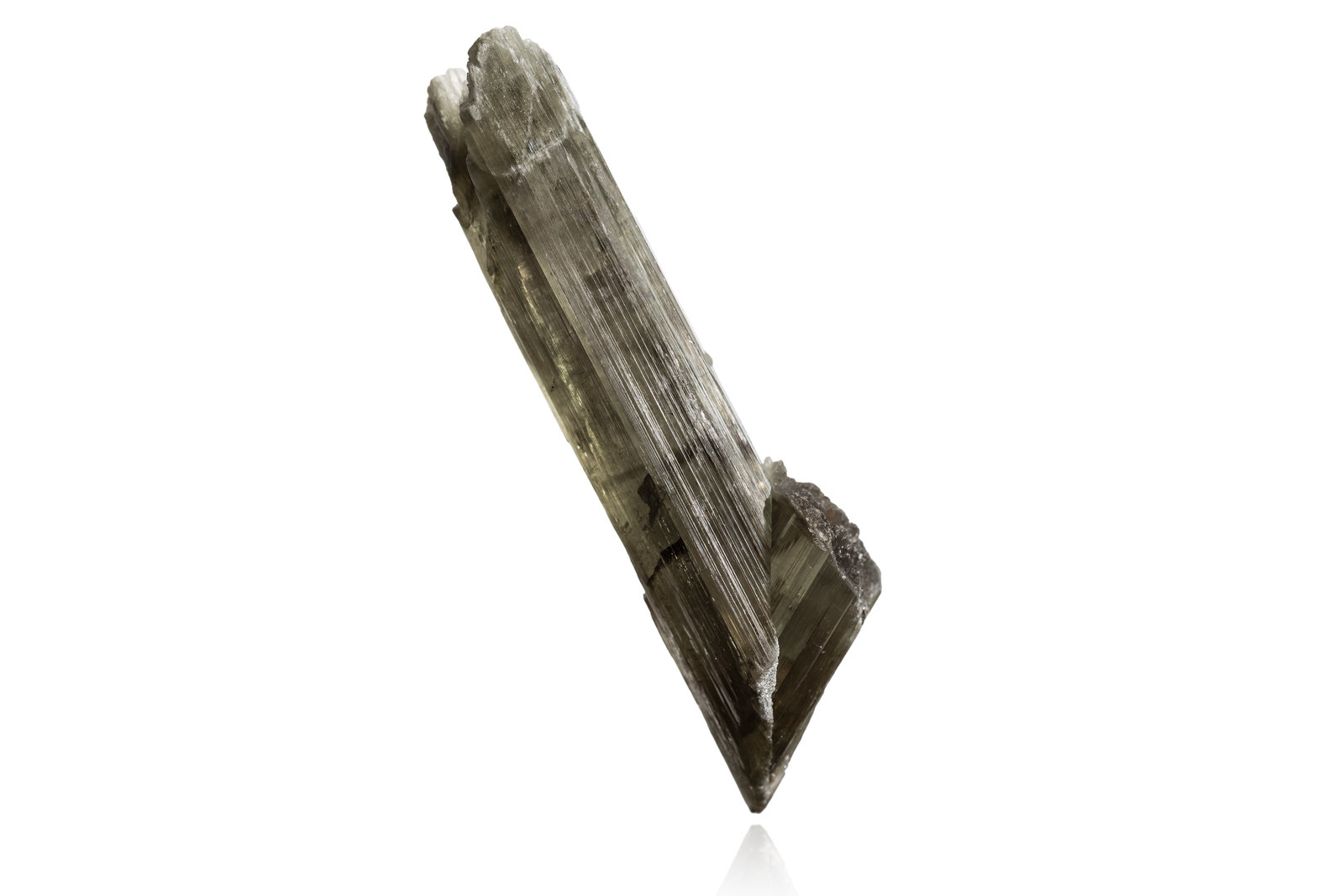 Diaspore
10,0	 x	3,5	x	3,0	cm
(Autor: MIM Museum)