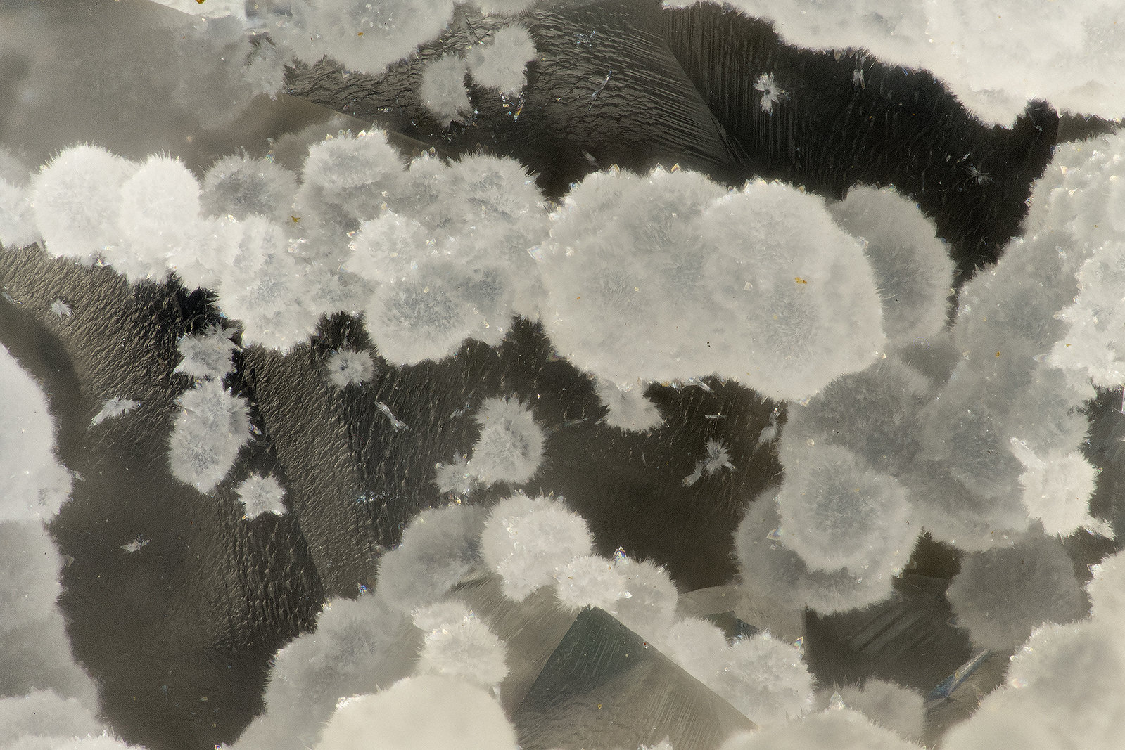Cowlesite
FOV = 3.1 mm
(Autor: Doug)