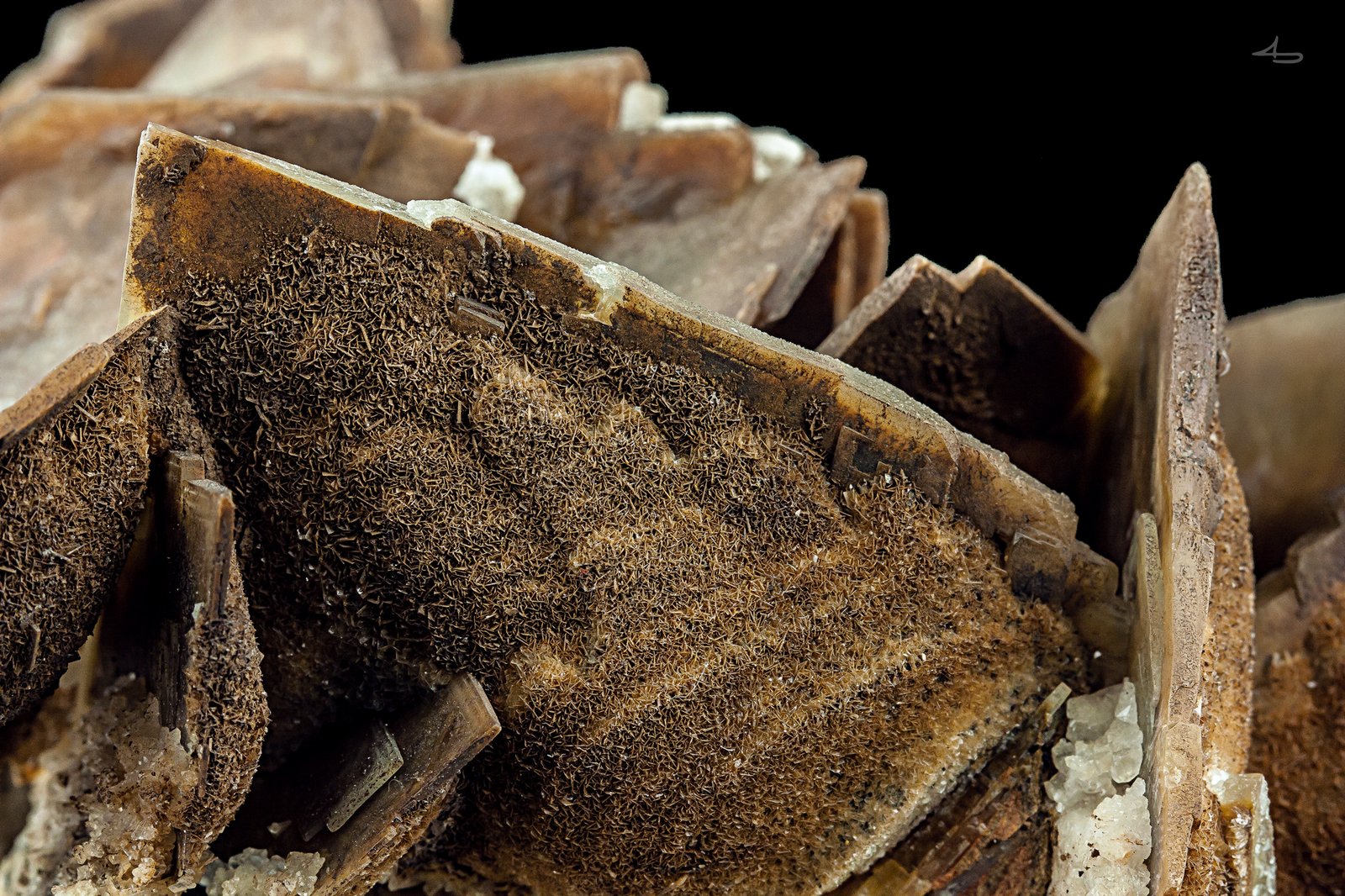 Baryte
(Autor: Niels Brouwer)