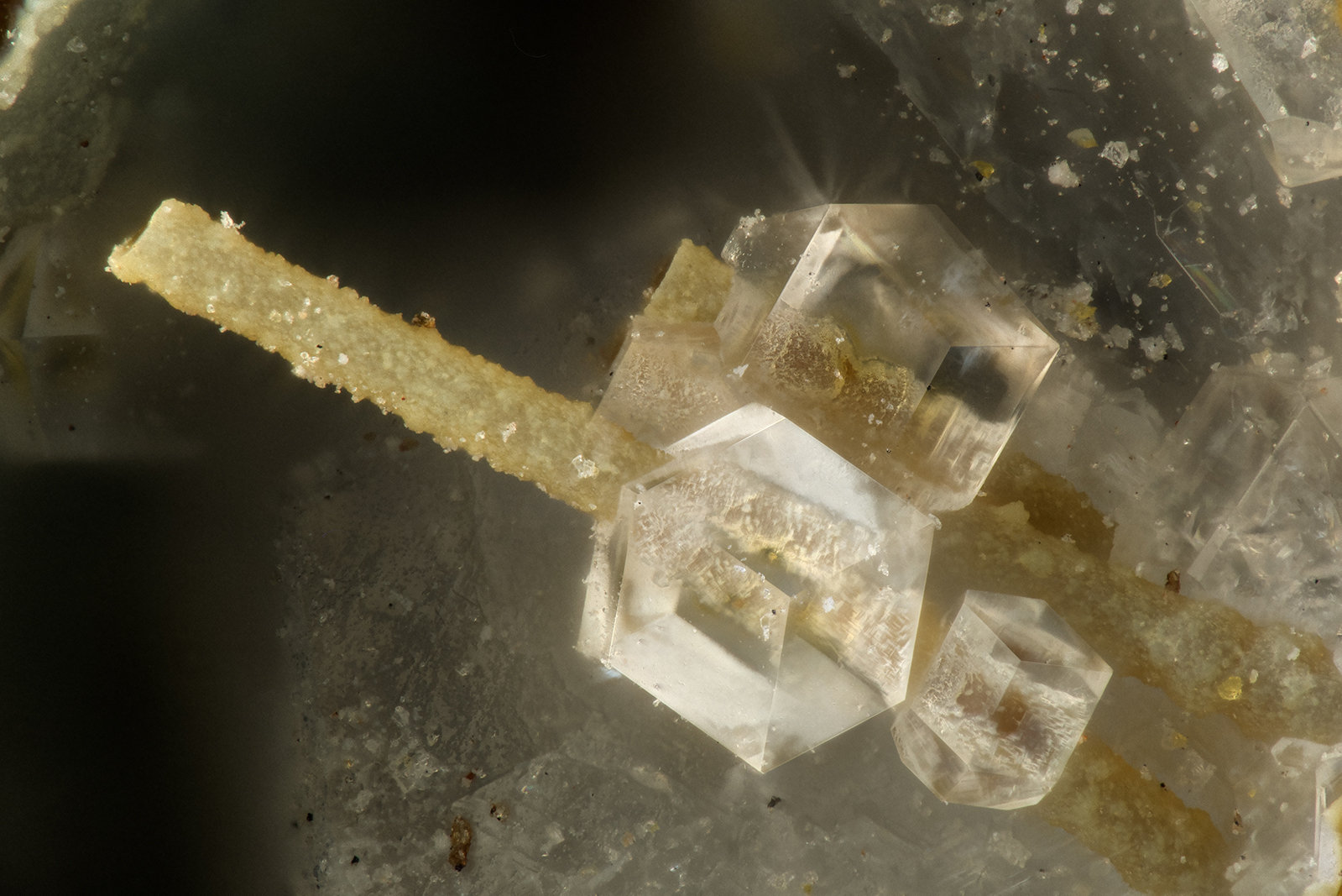 Paulingite-Ca
FOV = 1.4 mm
(Autor: Doug)