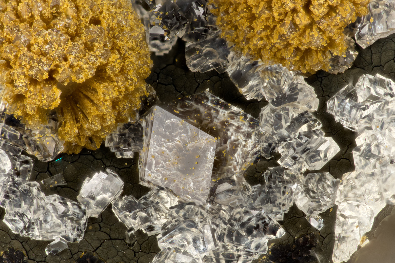 Paulingite-K, Clinoptilolite-Ca, Phillipsite-K
FOV = 3.0 mm
(Autor: Doug)
