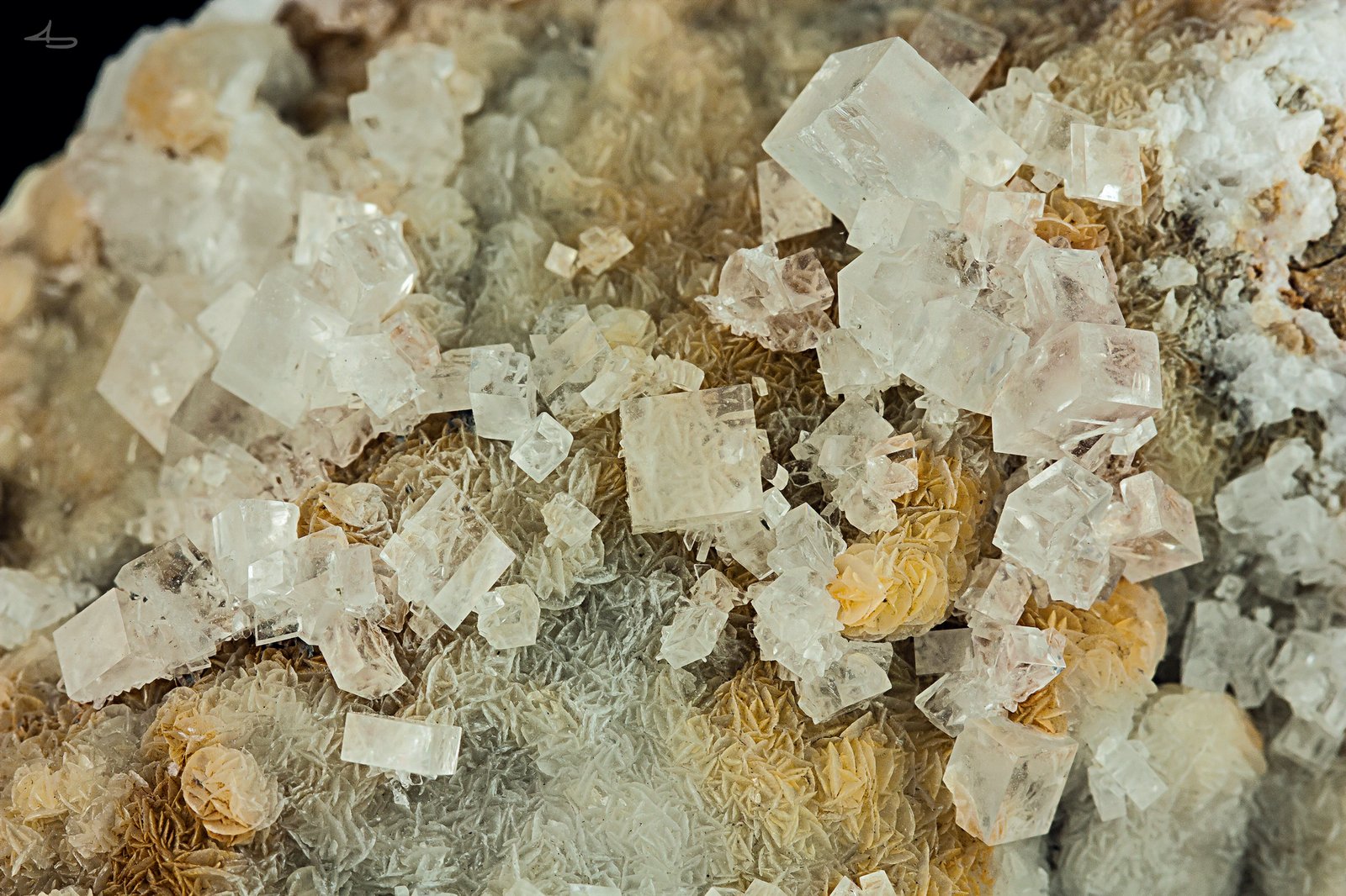 Baryte, Dolomite
8,5 x 6,0 x 3,6 cm
(Autor: Niels Brouwer)
