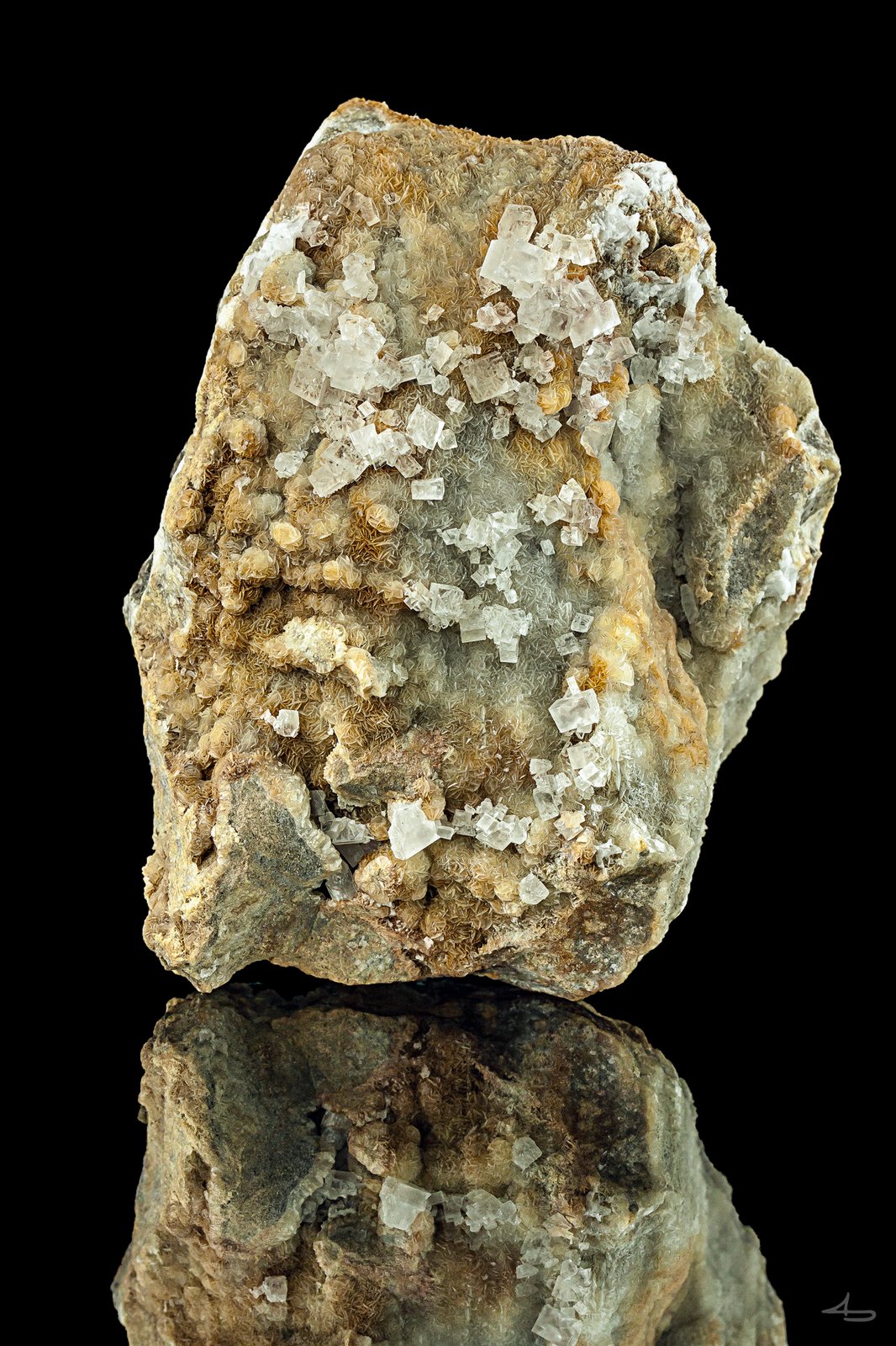 Baryte, Dolomite
8,5 x 6,0 x 3,6 cm
(Autor: Niels Brouwer)