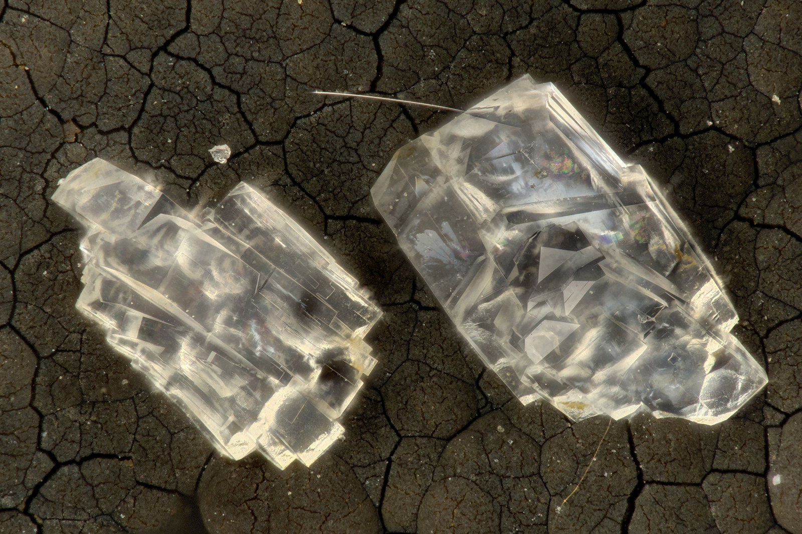 Clinoptilolite-Ca
FOV = 2.8 mm
(Autor: Doug)