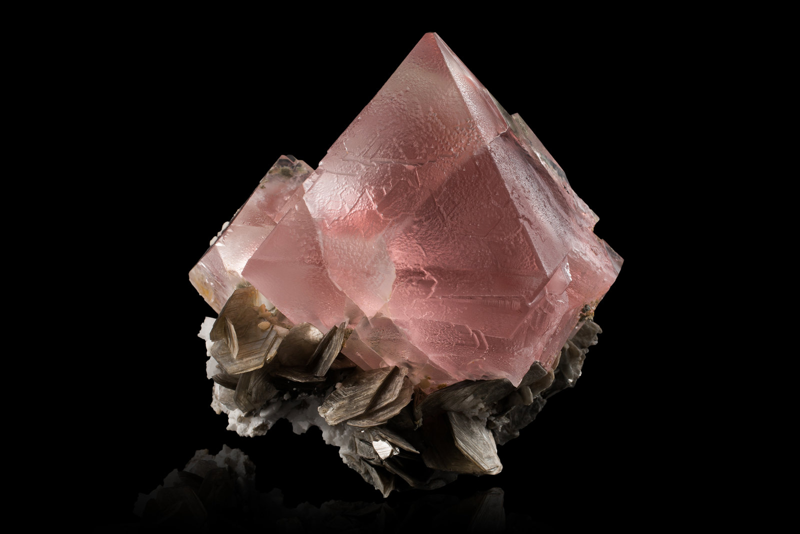 Fluorite with Muscovite
12,0	 x	12,0	x	12,5	cm
(Autor: MIM Museum)