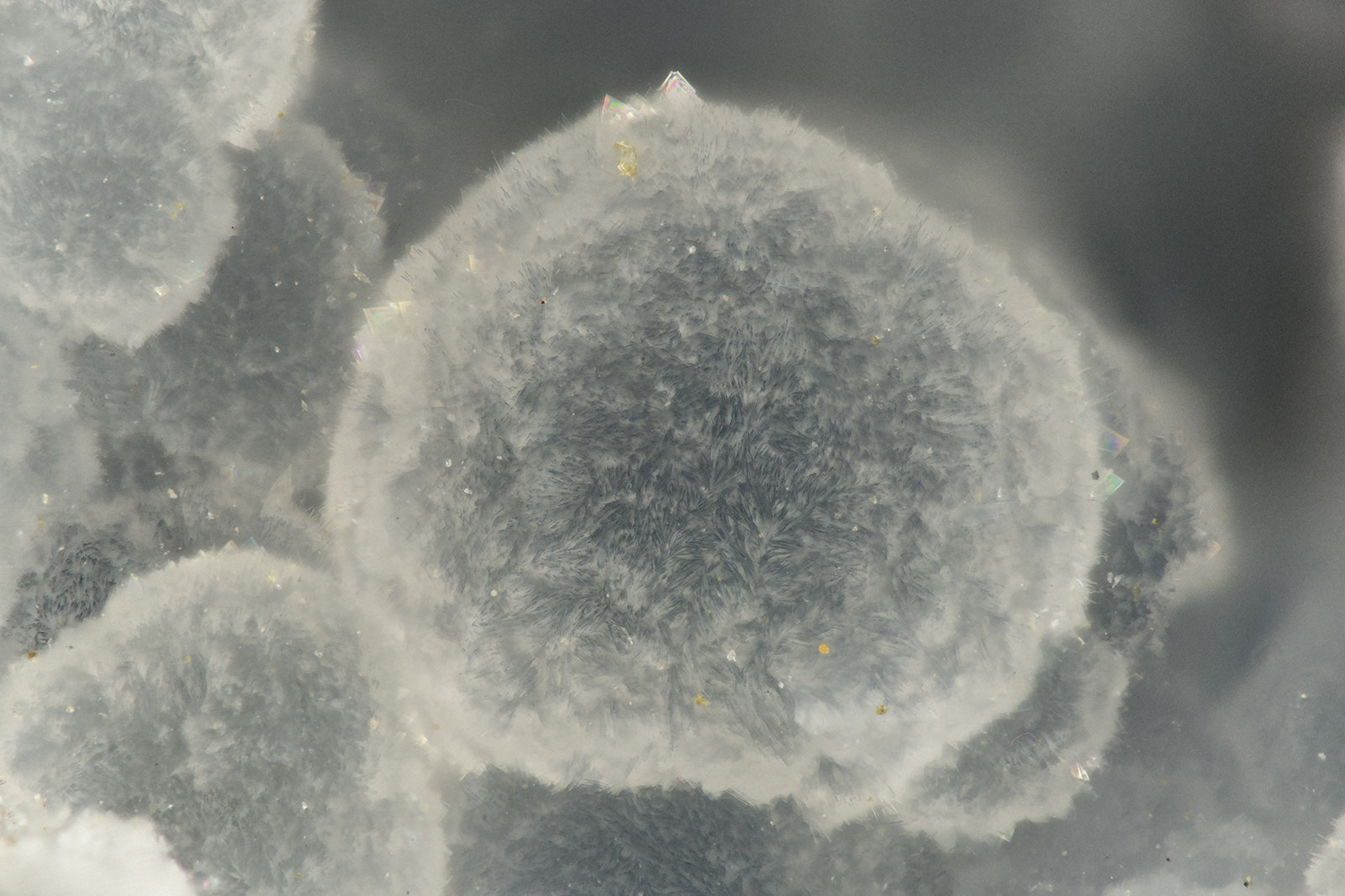 Cowlesite
FOV = 1.6 mm
(Autor: Doug)