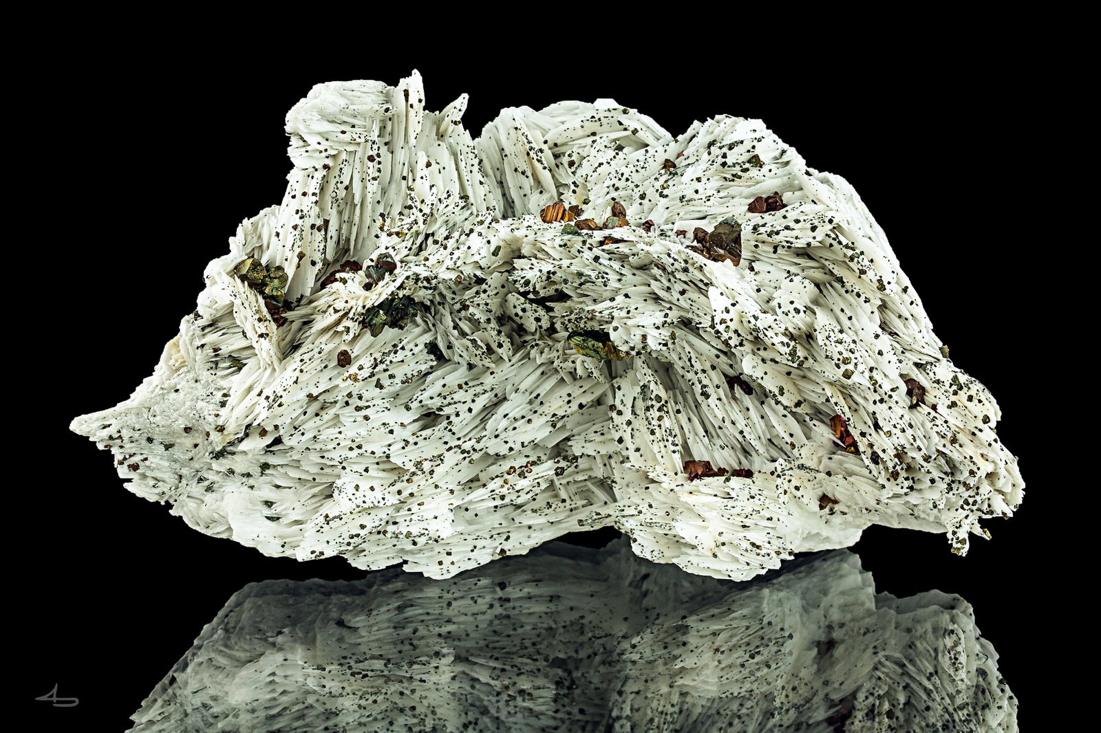 Baryte, Chalcopyrite
12,4 x 6,8 x 3,6 cm
(Autor: Niels Brouwer)