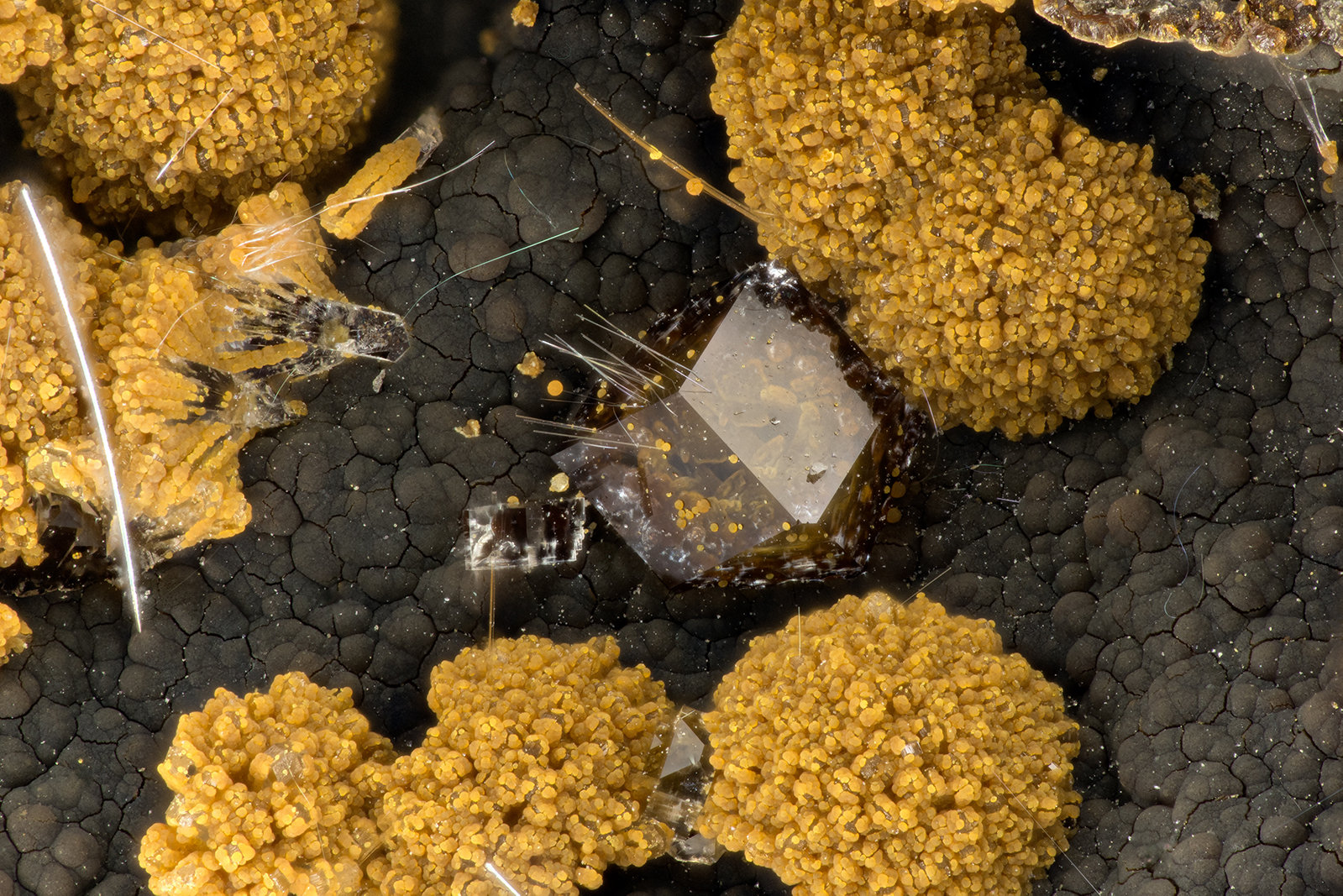 Paulingite-K, Erionite-K
FOV = 3.2 mm
(Autor: Doug)