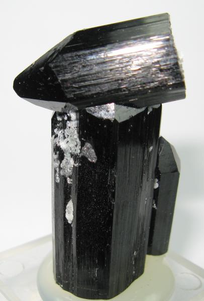 Schorl
(Autor: Carles Millan)