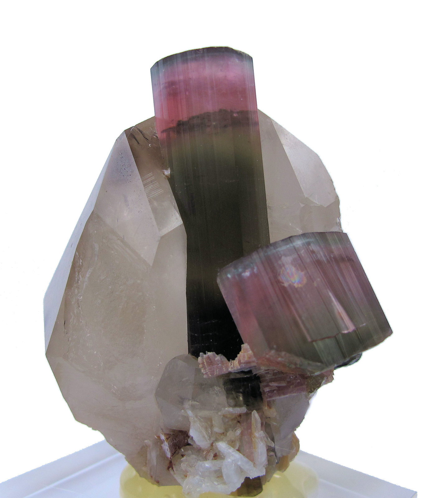 Elbaite, Quartz
65 mm x 57 mm x 50 mm. Tourmaline: 45 tall, 13 wide. Mass: 135g
(Autor: Carles Millan)
