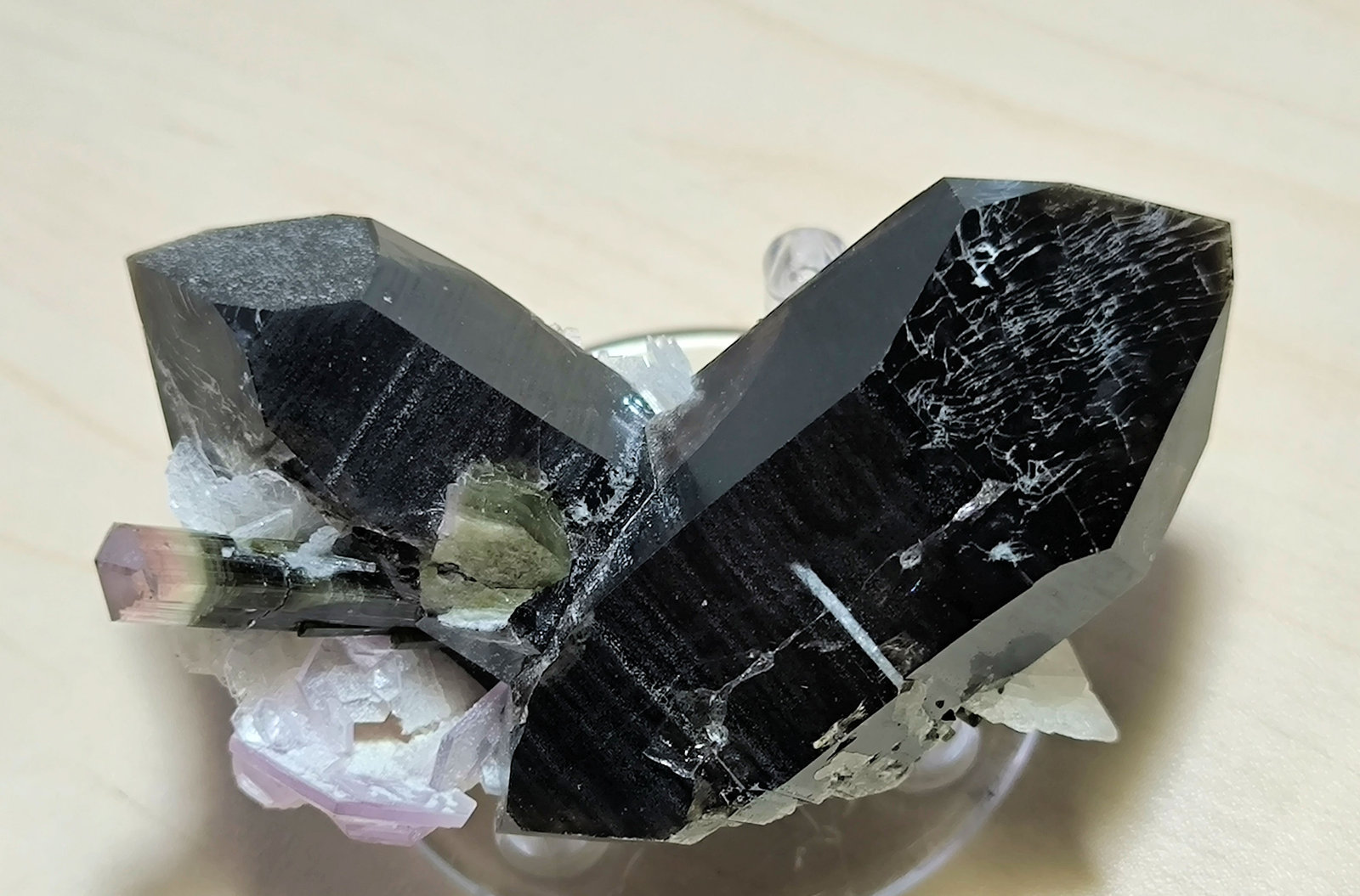 Elbaite, Quartz, Albite, Muscovite
67 mm x 36 mm. Largest crystal: 58 mm
(Autor: Carles Millan)