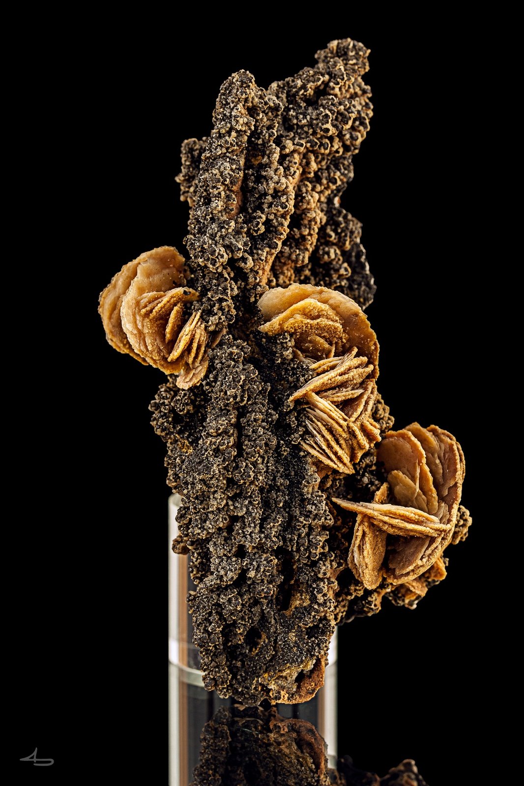 Baryte
8,5 x 5 x 2,5 cm
(Autor: Niels Brouwer)