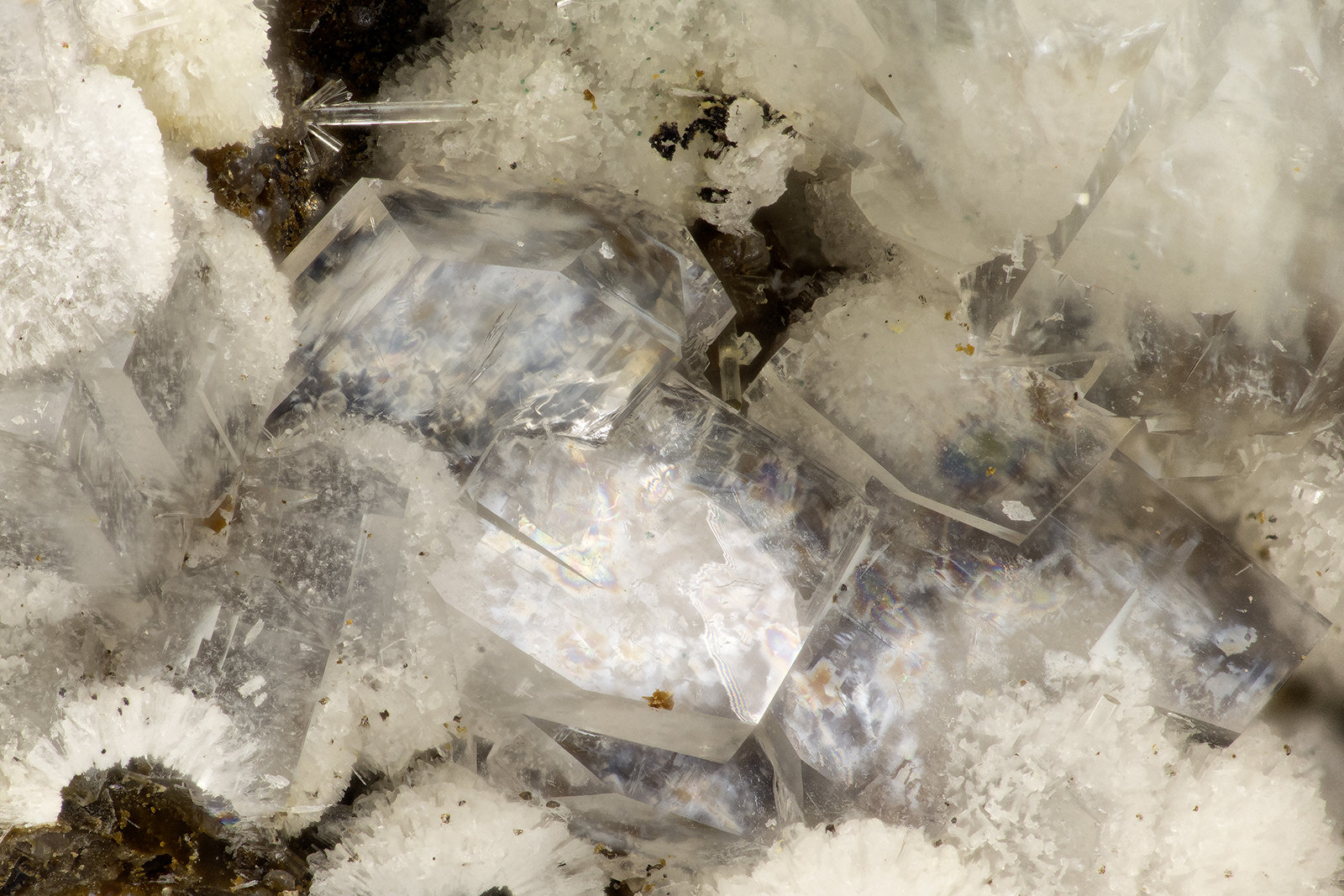 Clinoptilolite-Na, Erionite-K
FOV = 3.2 mm
(Autor: Doug)