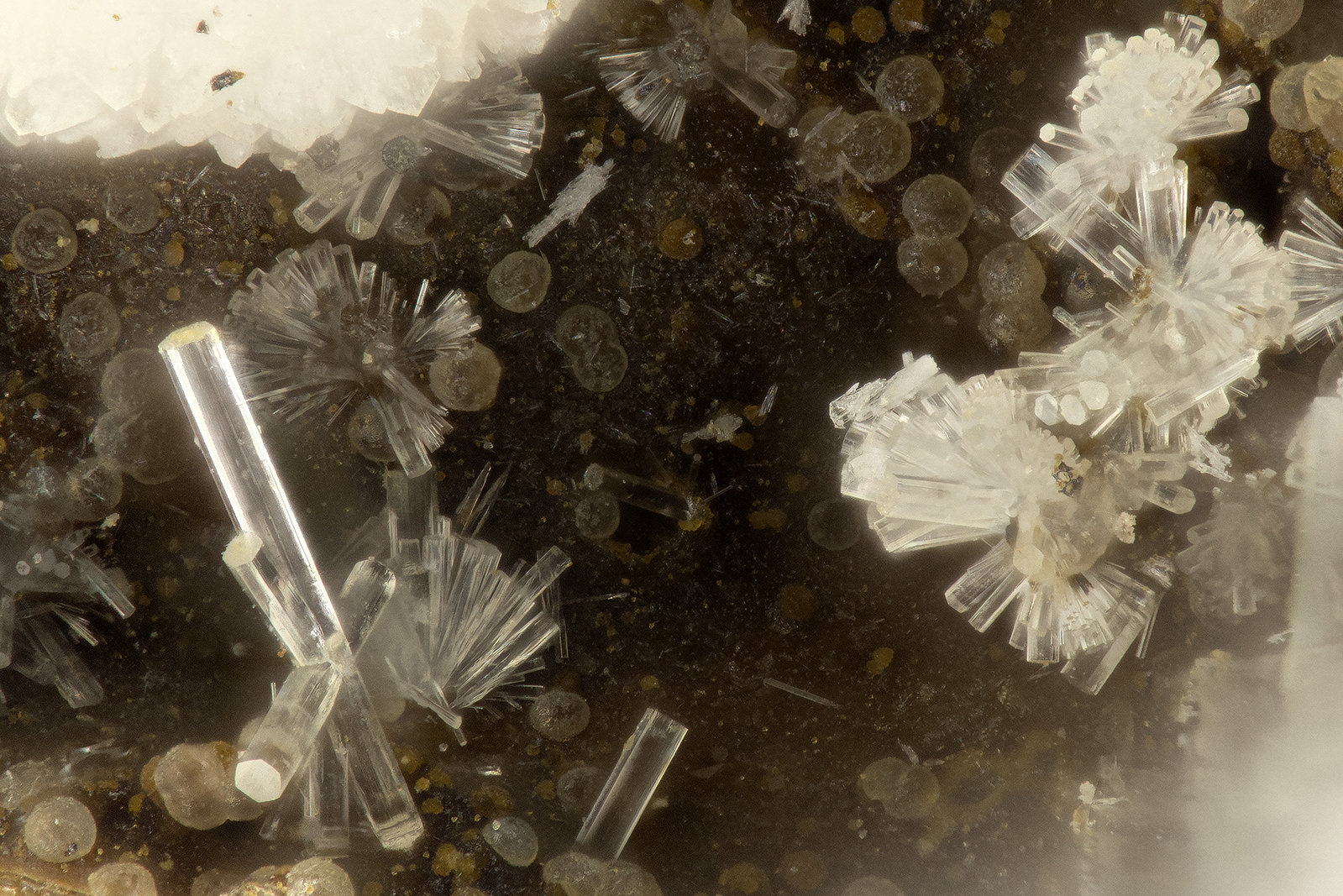 Erionite-K
FOV = 1.2 mm
(Autor: Doug)