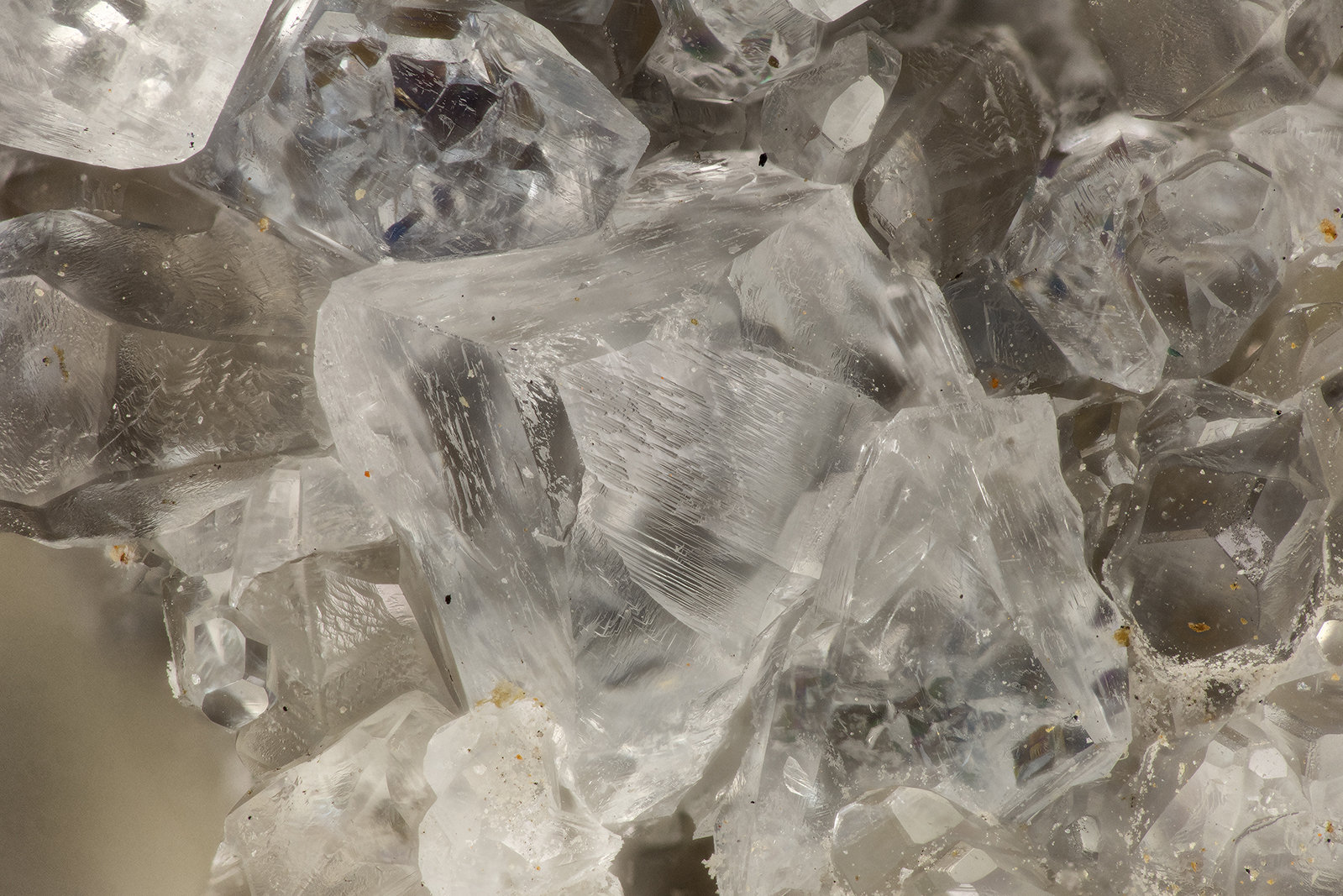 Celestine
FOV = 3.5 mm
(Autor: Doug)