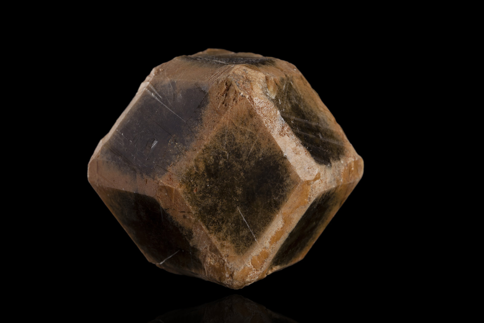 Grossular
5,0	x	5,0	x	5,0	cm
(Autor: MIM Museum)