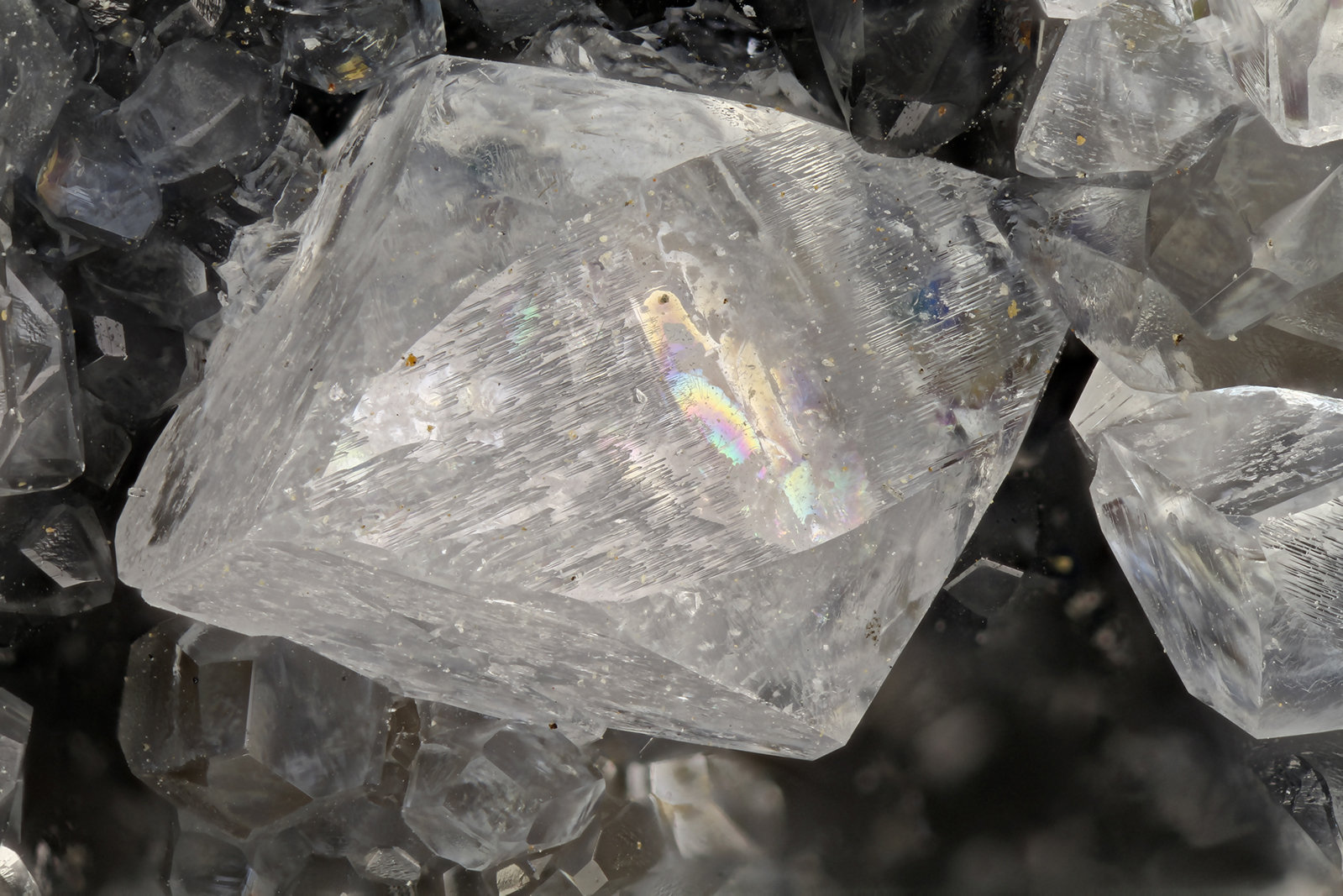 Celestine
4.0 mm
(Autor: Doug)