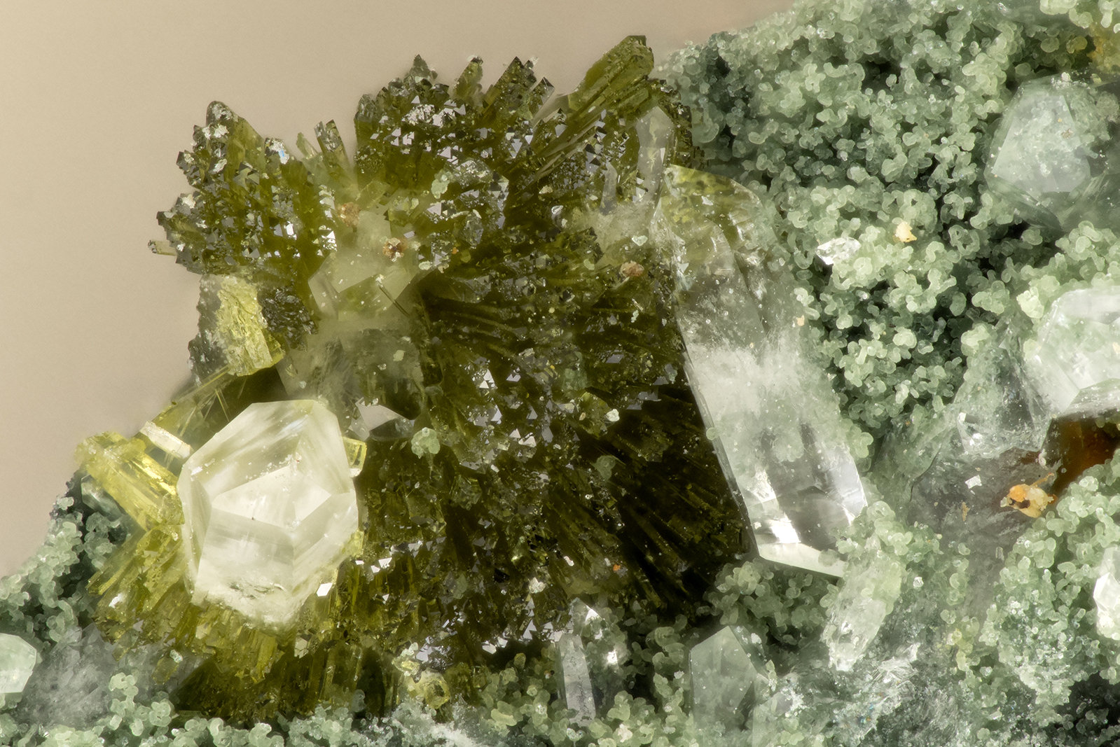 Epidote
FOV = 2.4 mm
(Autor: Doug)