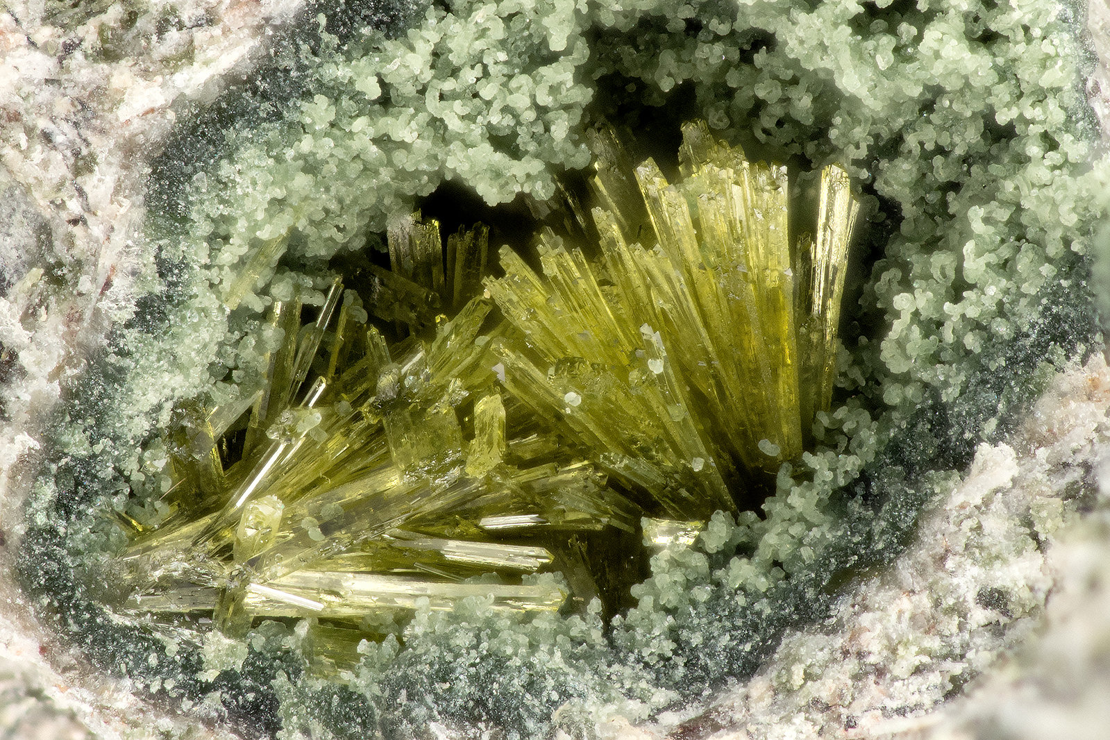 Epidote
FOV = 2.2 mm
(Autor: Doug)
