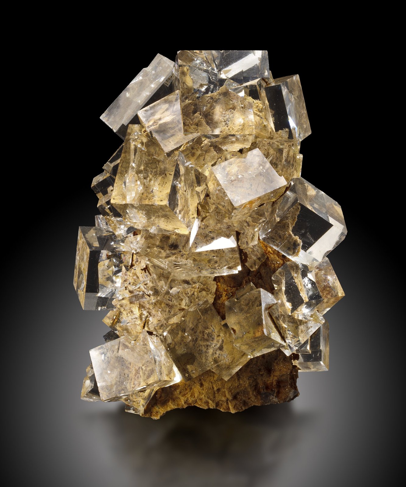 Fluorite
7,5	x	7,5	x	13,0	cm
(Autor: MIM Museum)